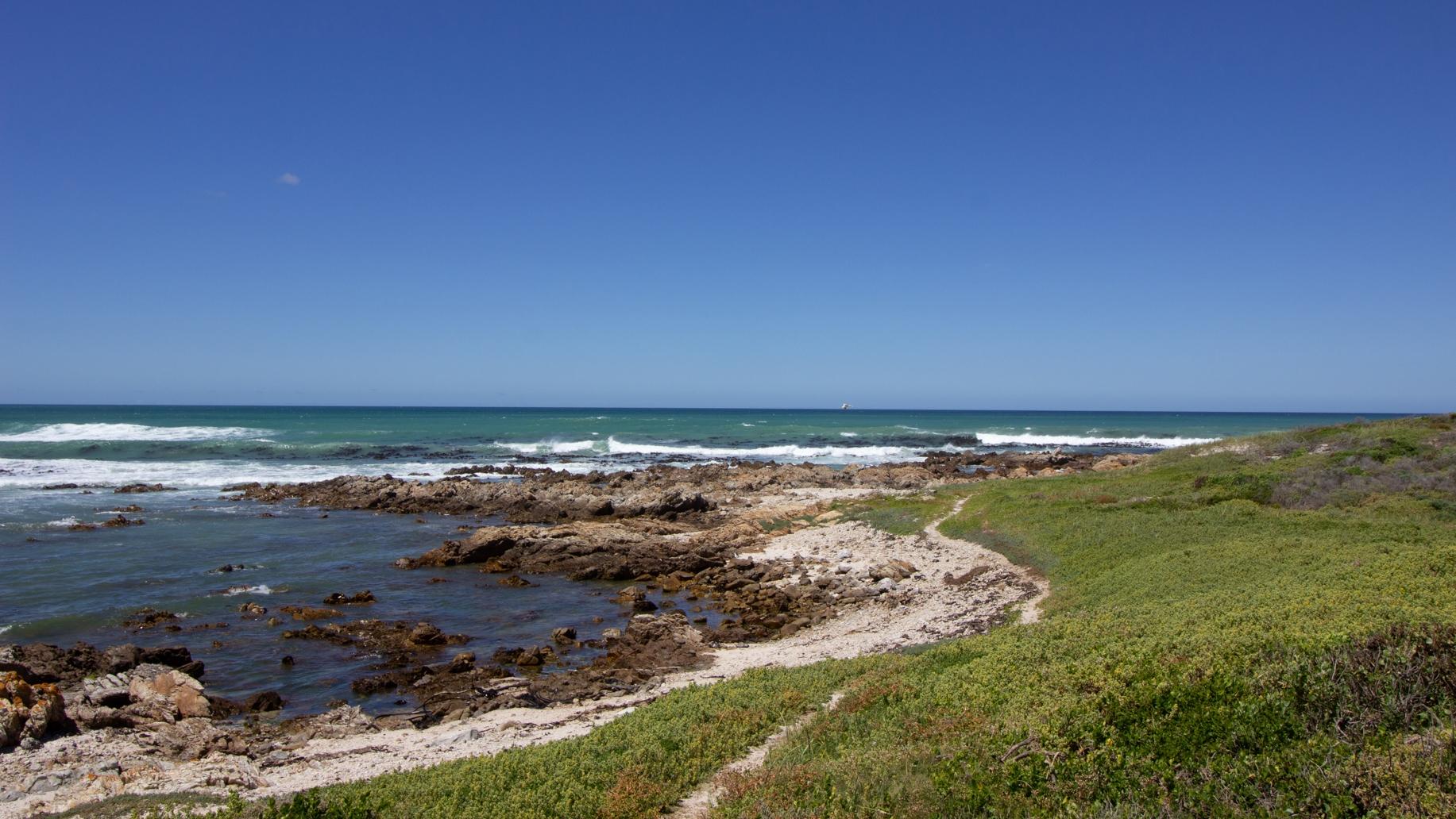 Image 15