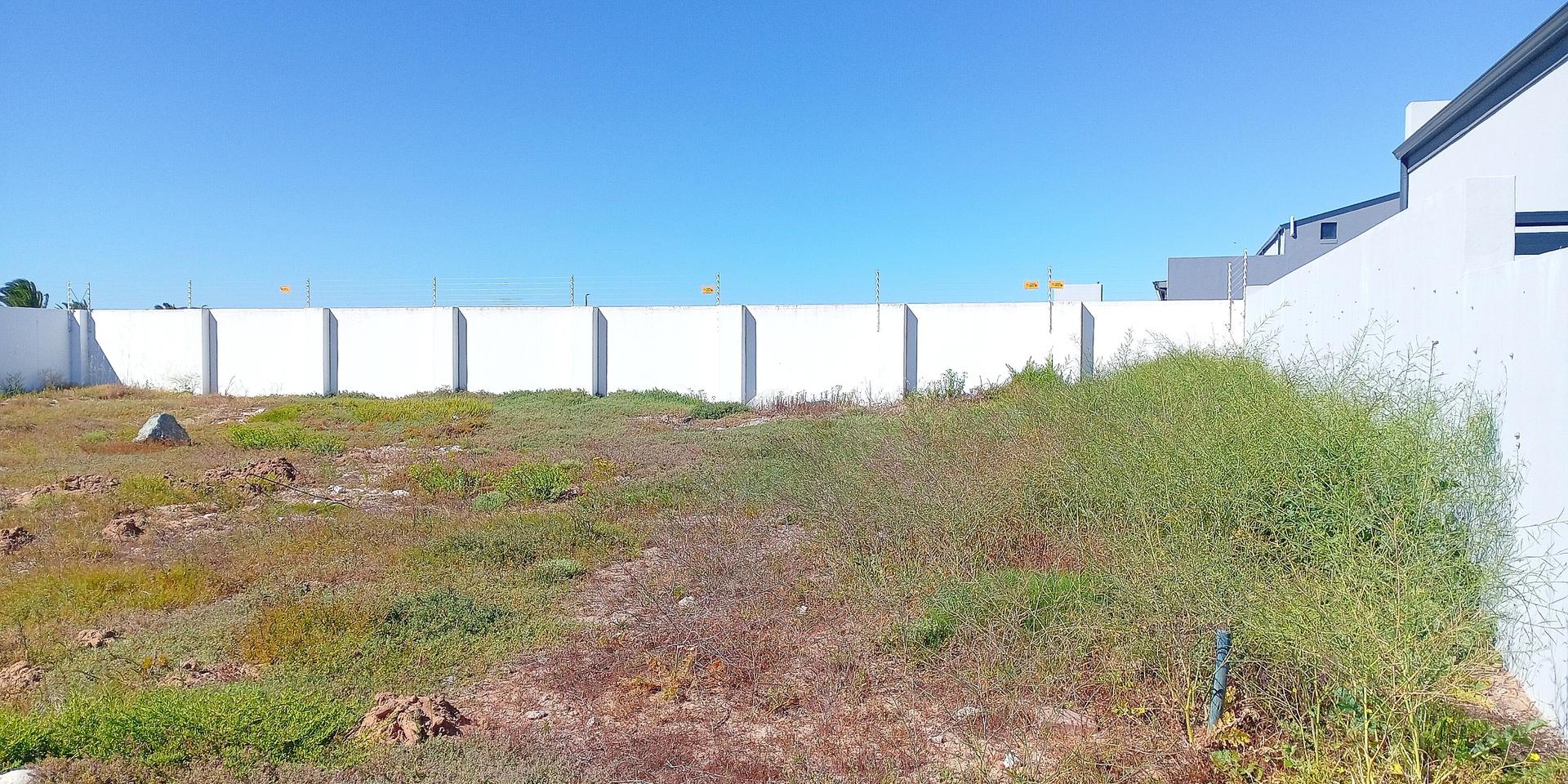 Image 2 of 6