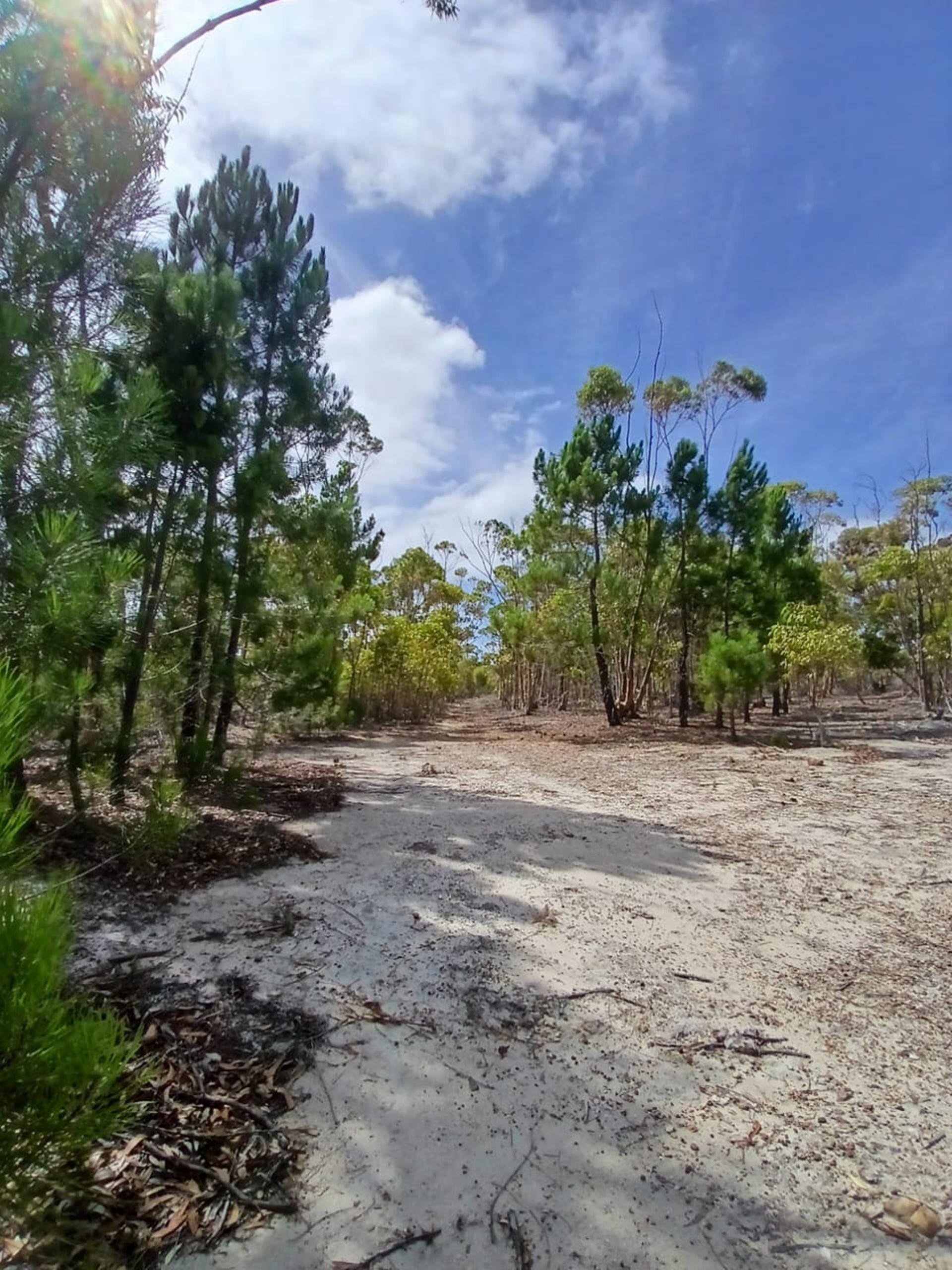 Image 10
