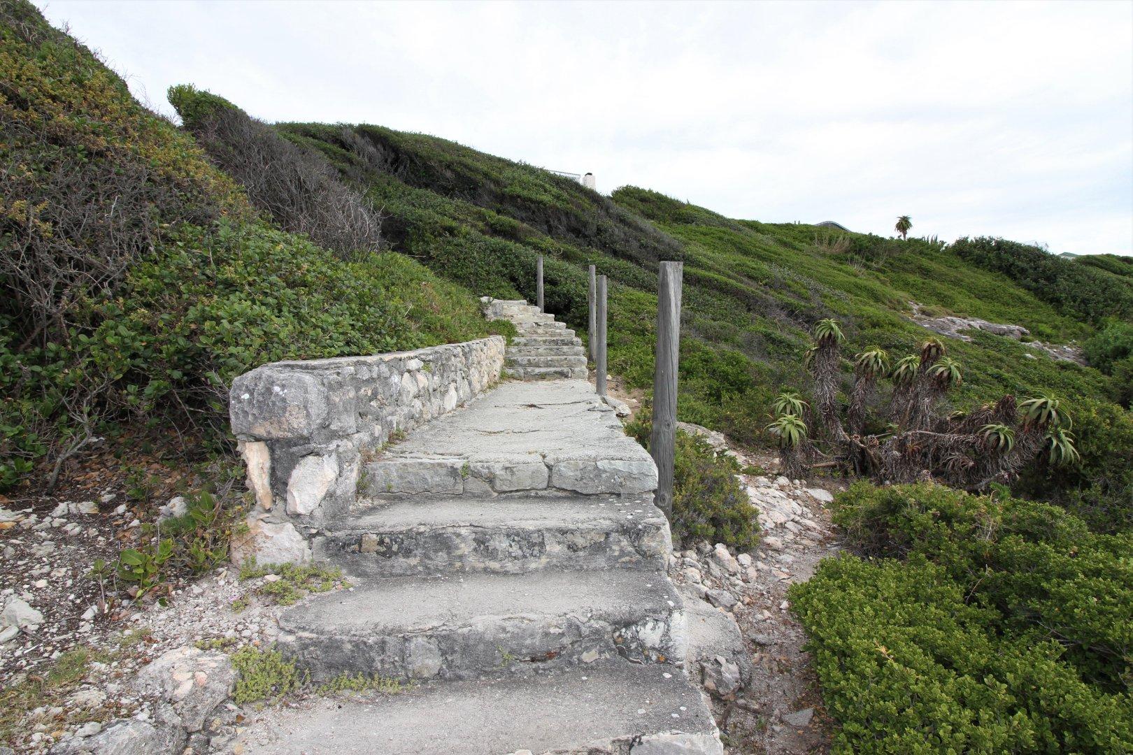 Image 13