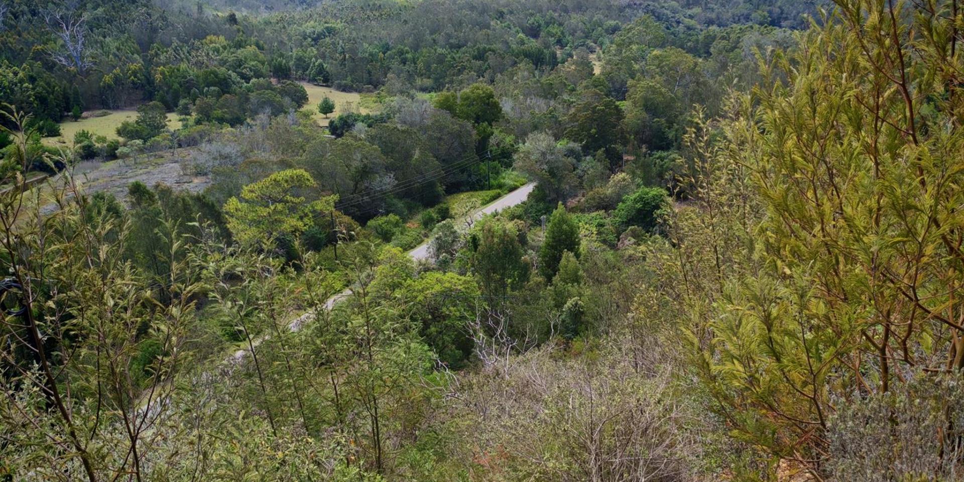 Image 4 of 6