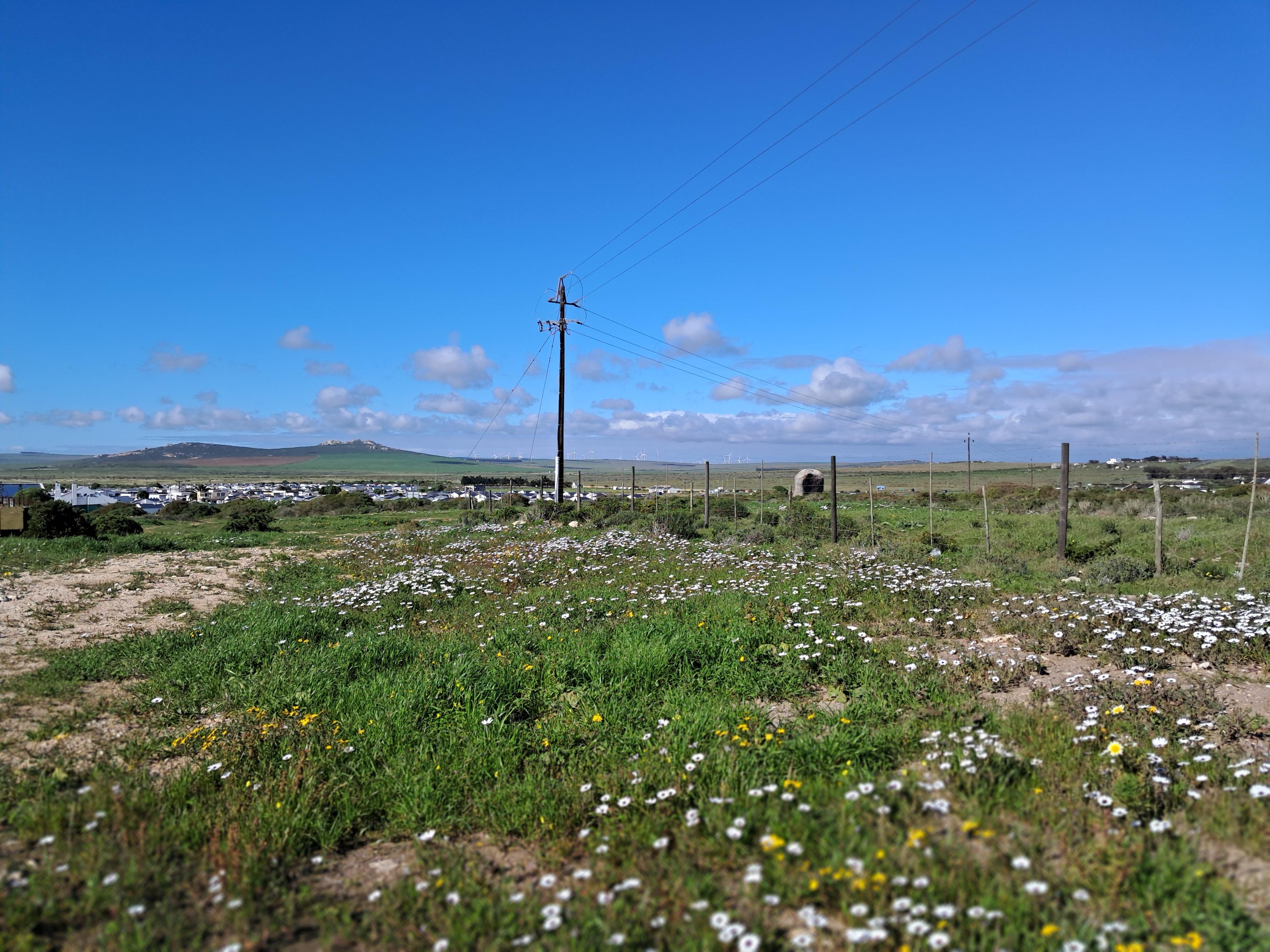 Image 5 of 6