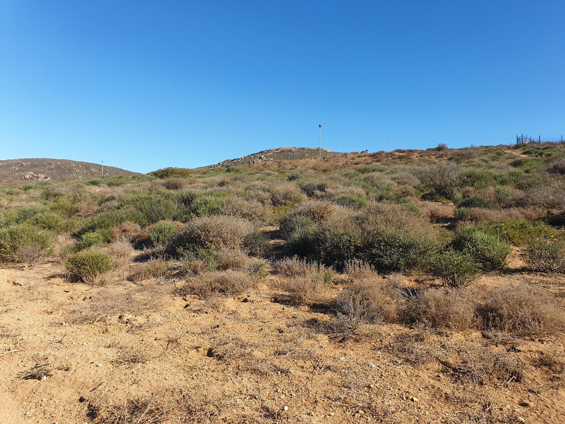 Image 13