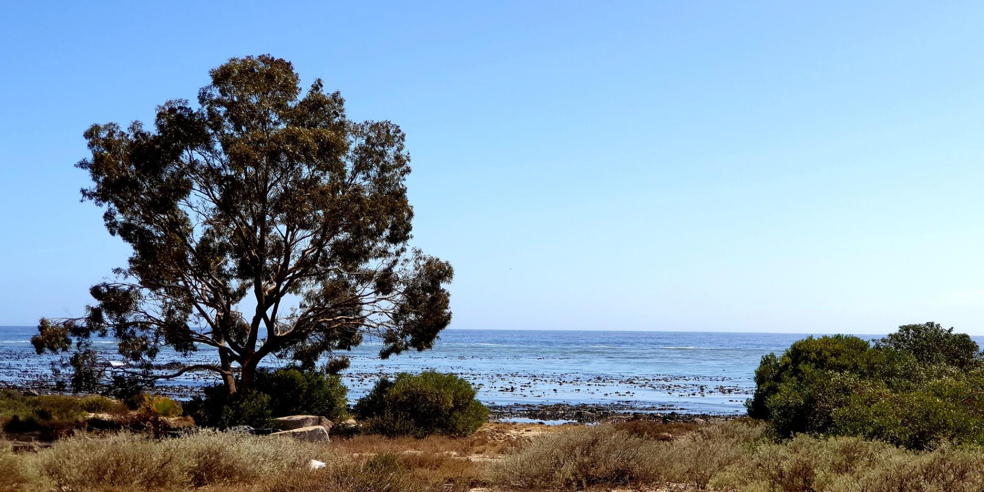 Image 4 of 6