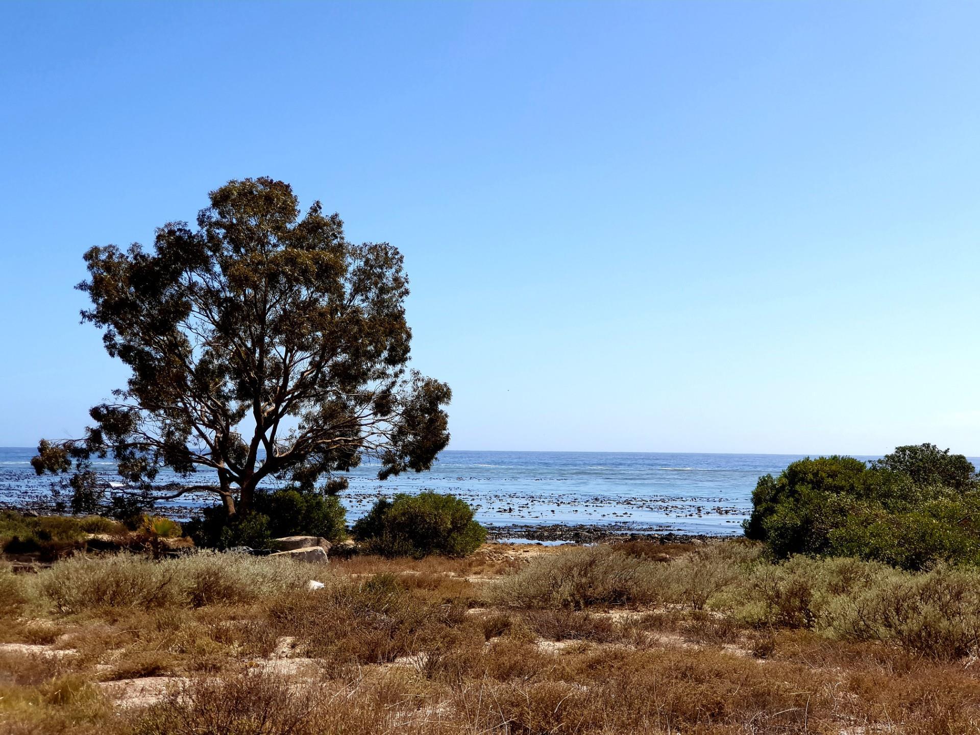 Image 4 of 6