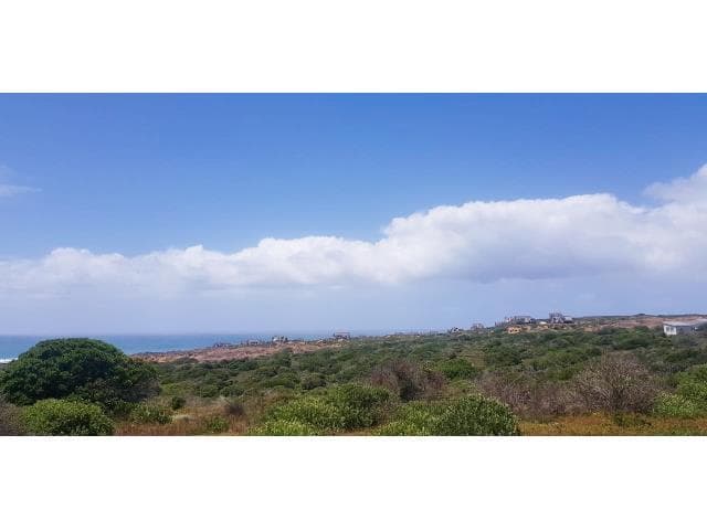 Image 4 of 6