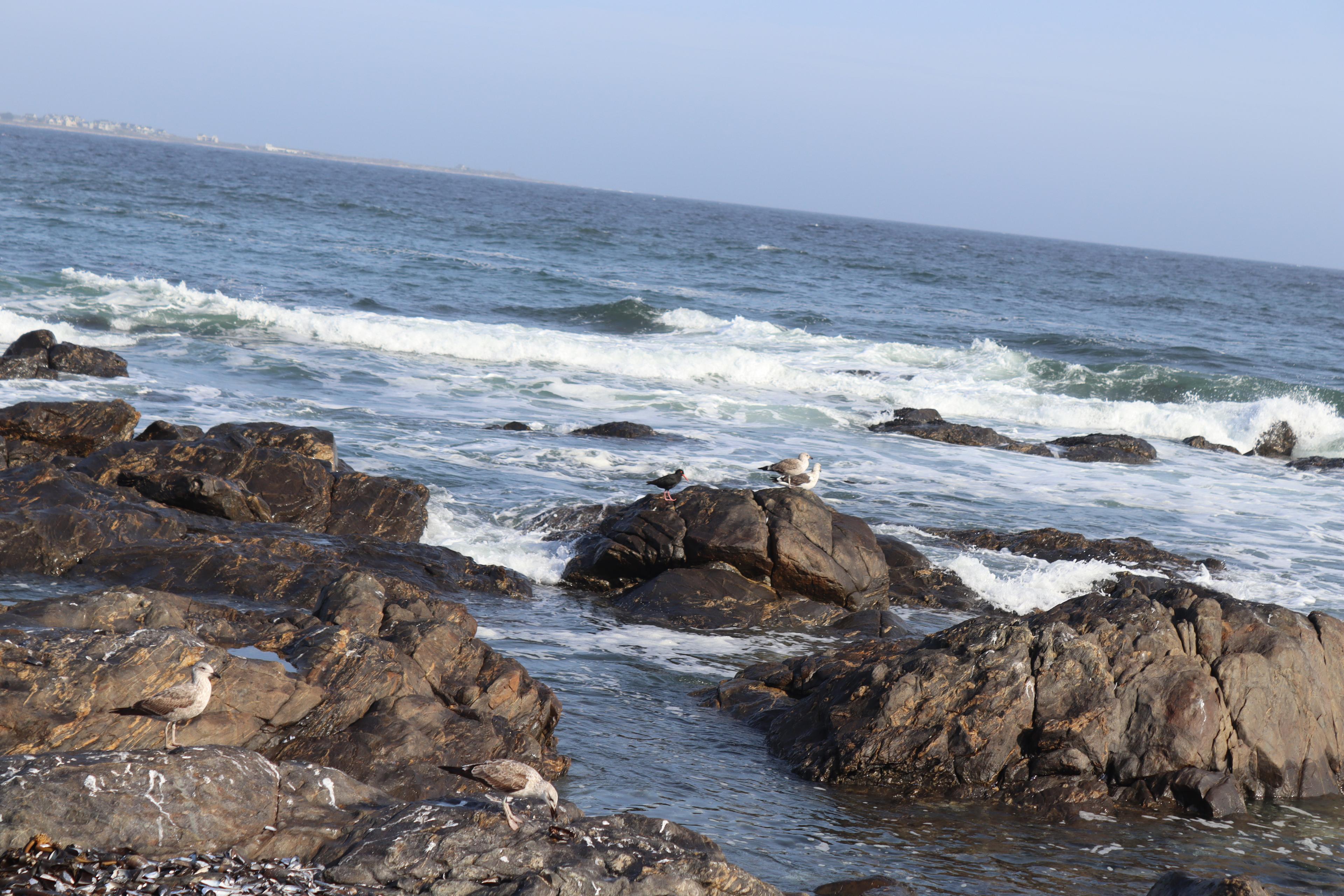 Image 10