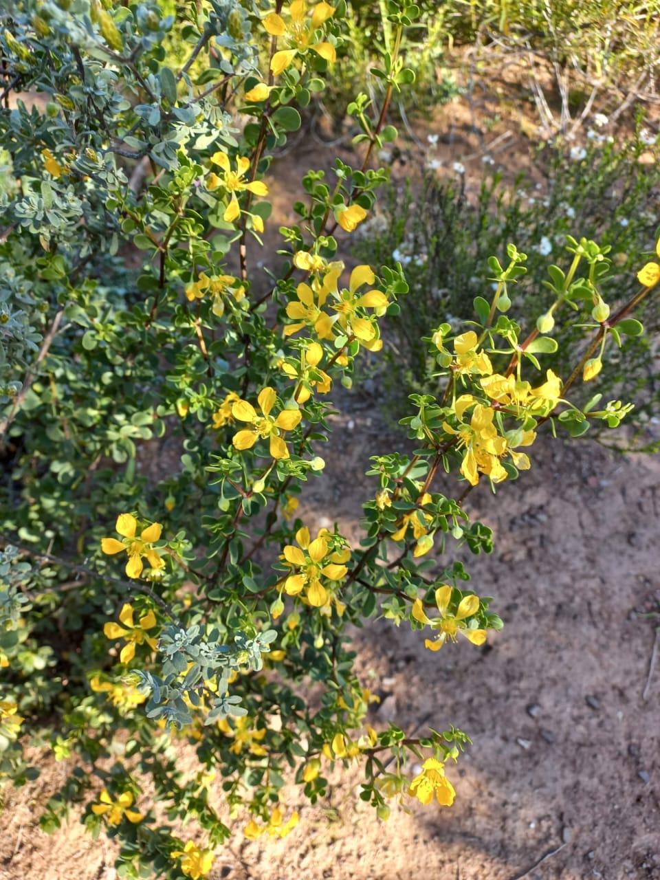 Image 5 of 6