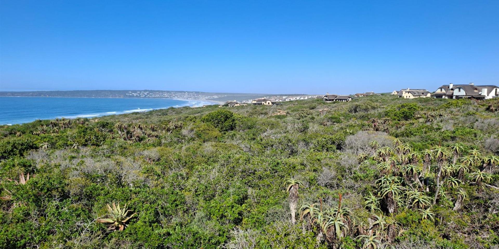 Image 5 of 6