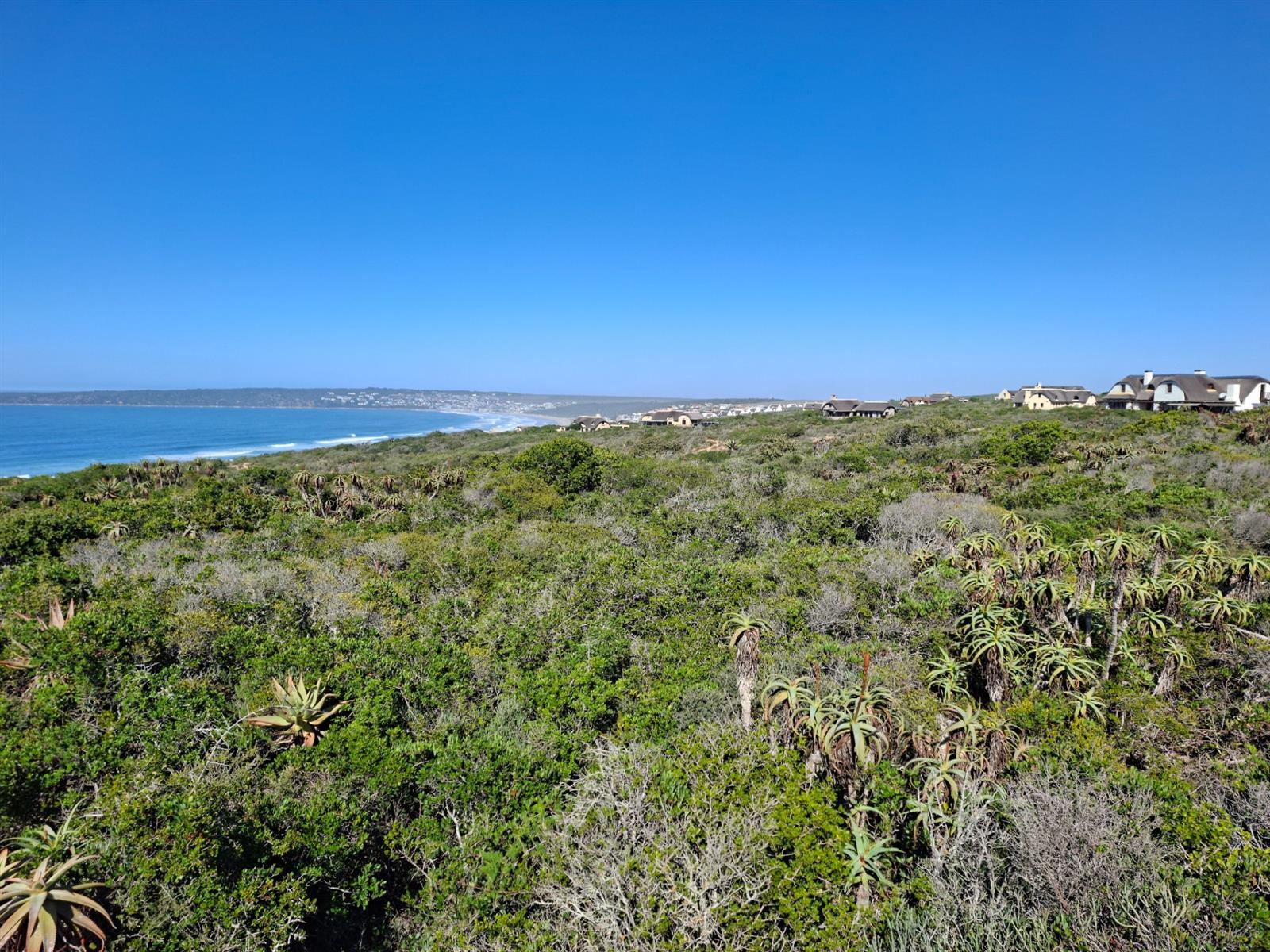 Image 4 of 6