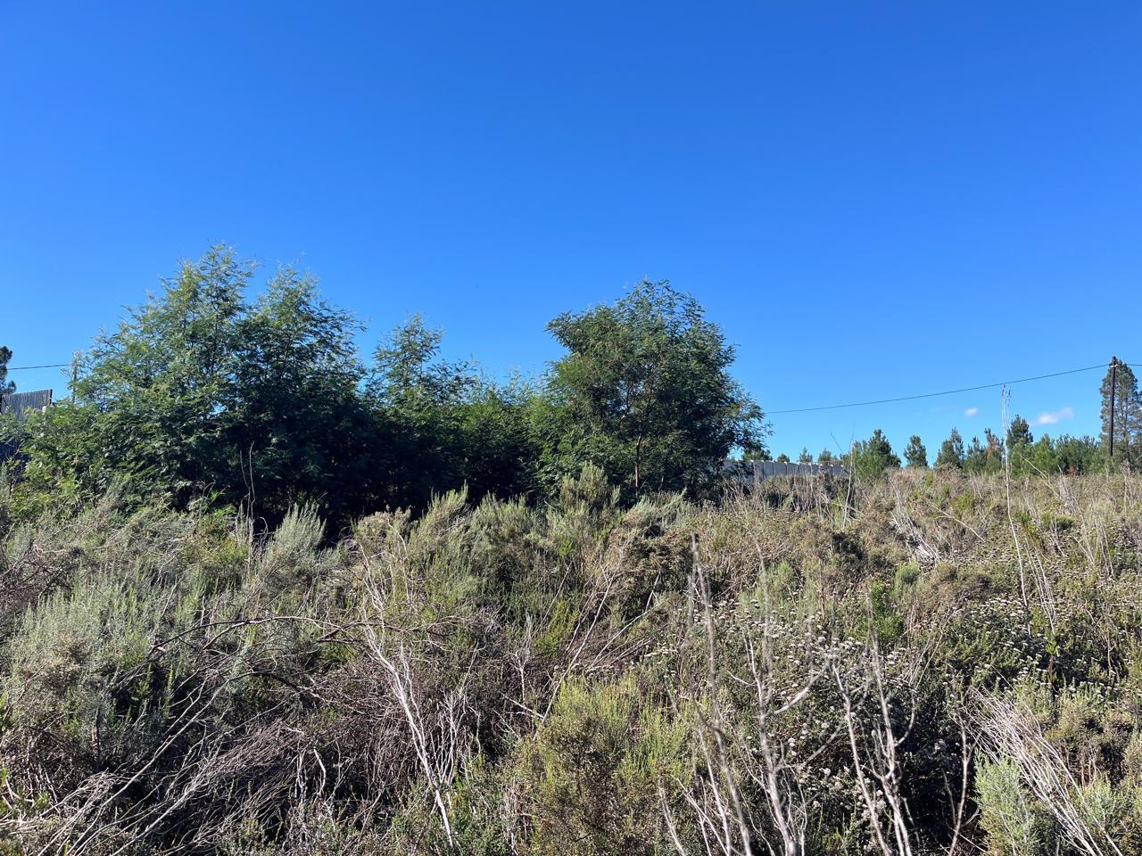Image 15