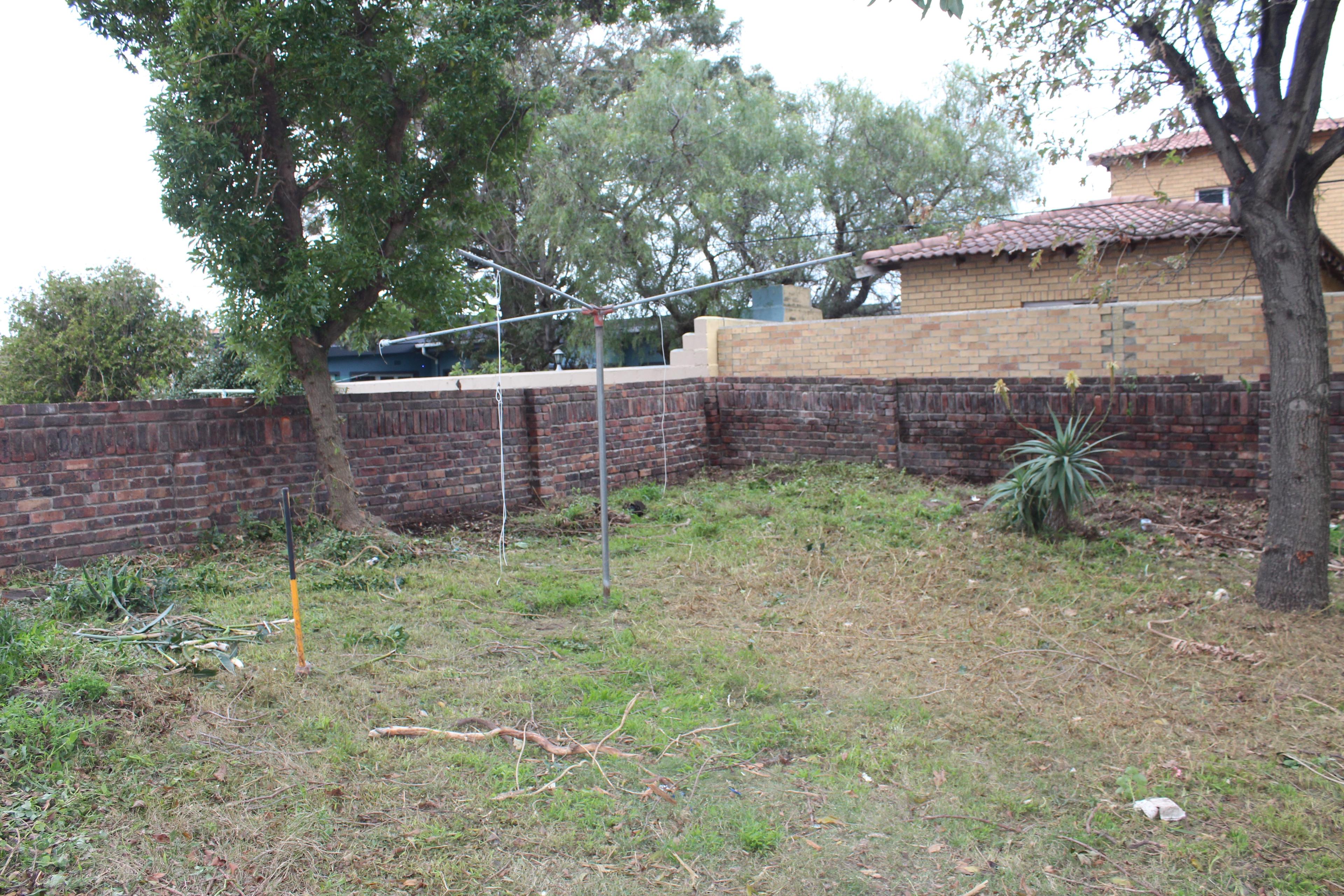 Image 12