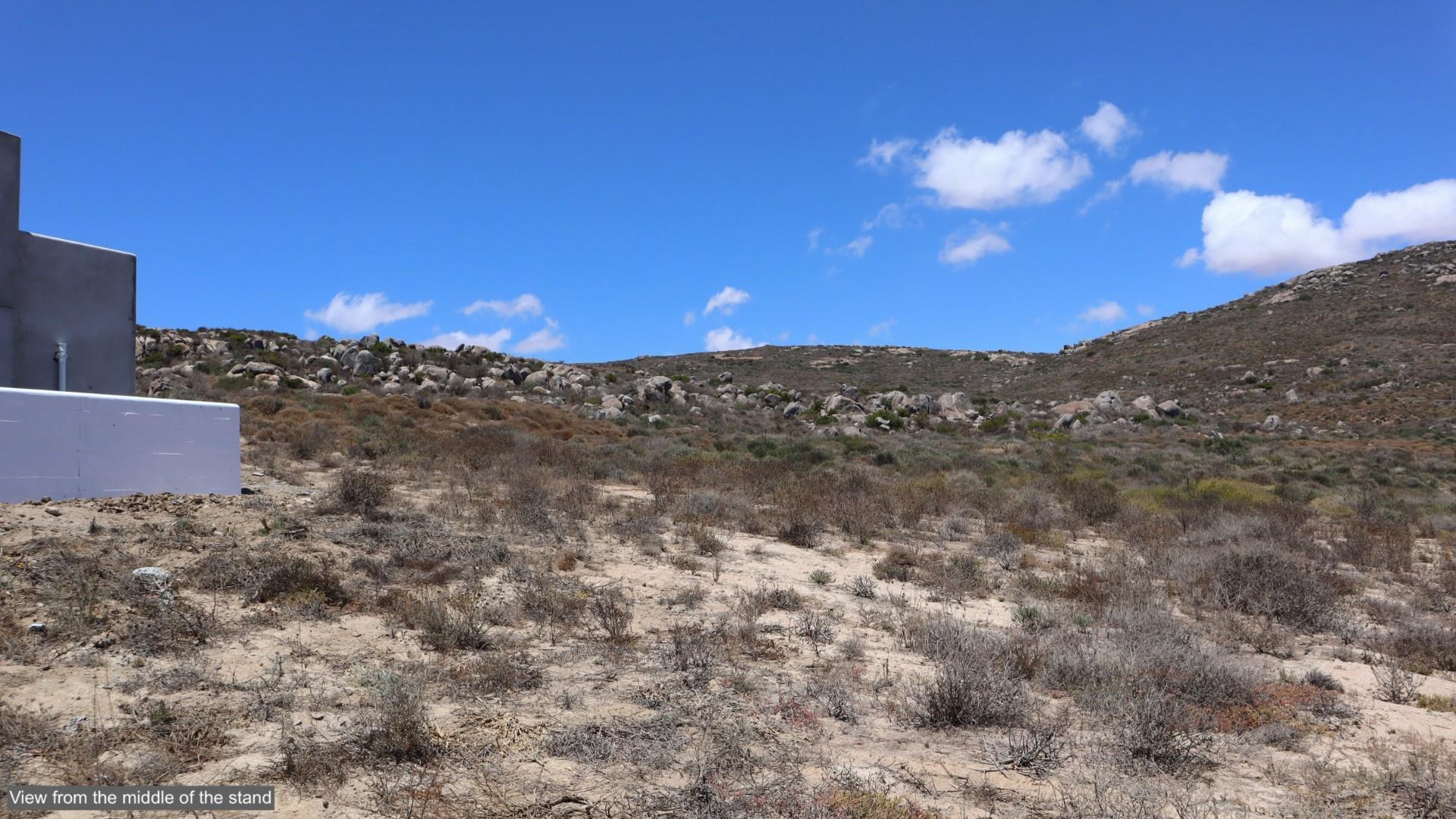 Image 13