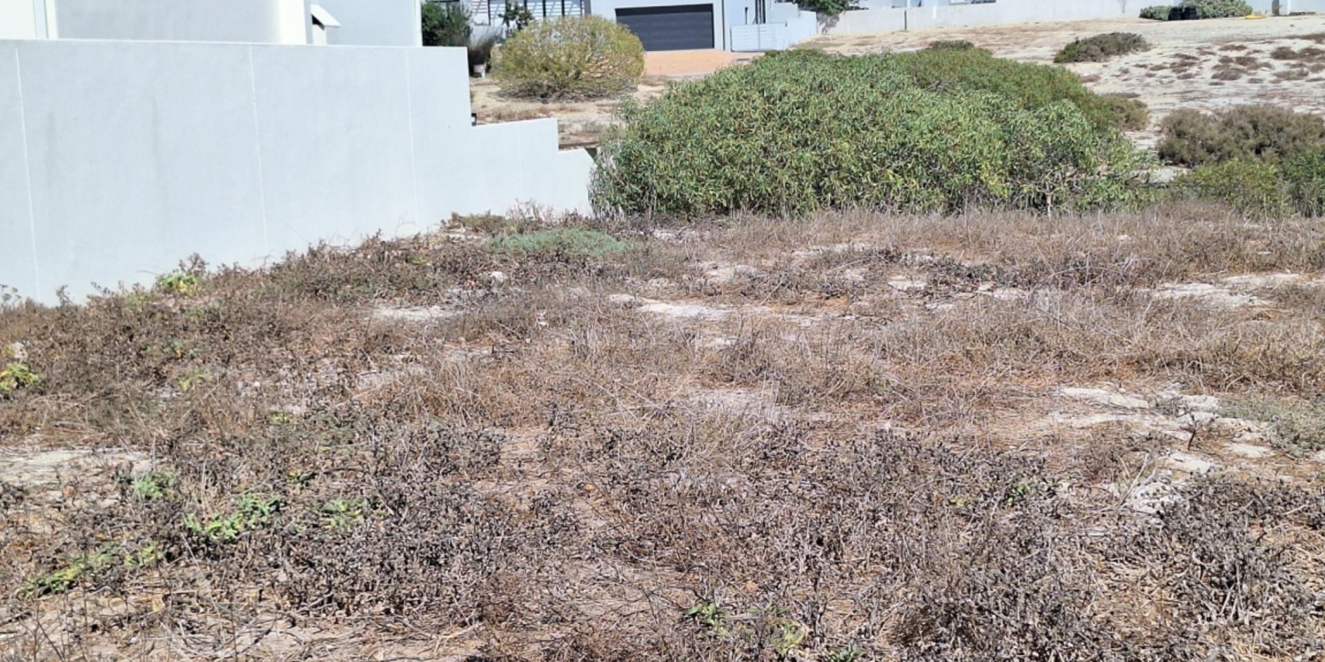 Image 2 of 6