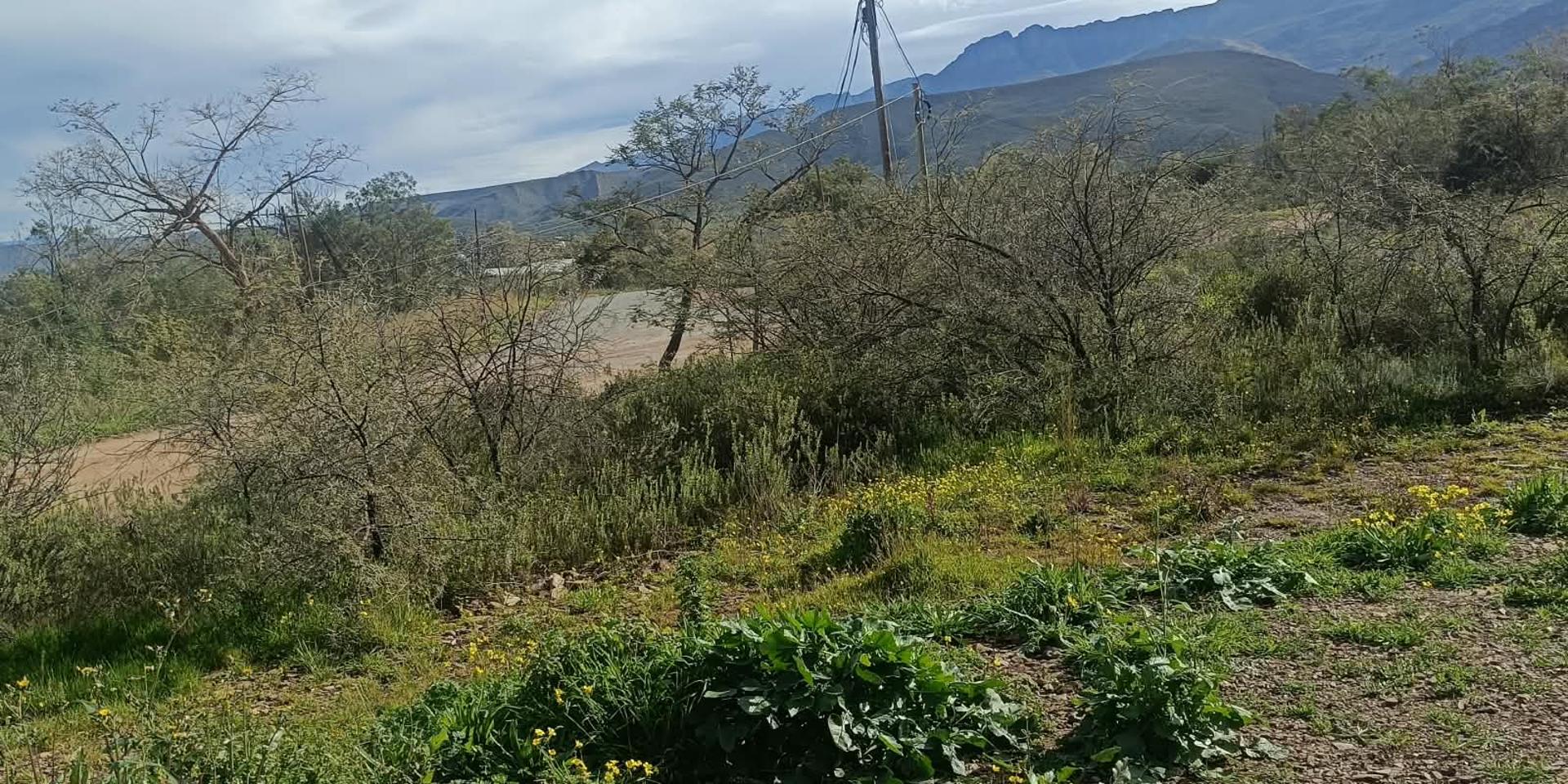 Image 3 of 6