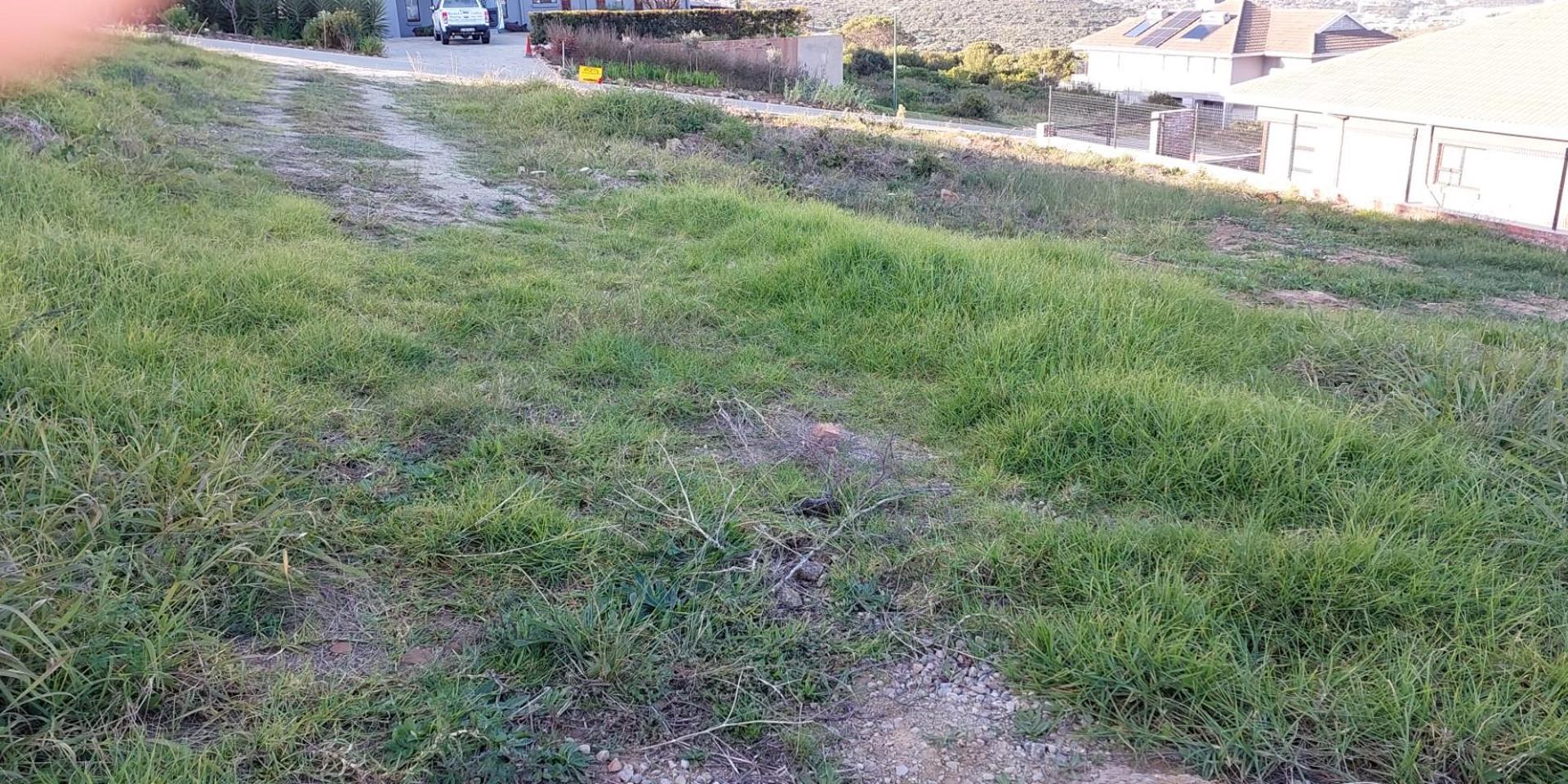 Image 4 of 6