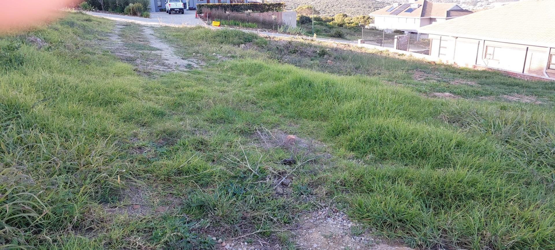 Image 4 of 6