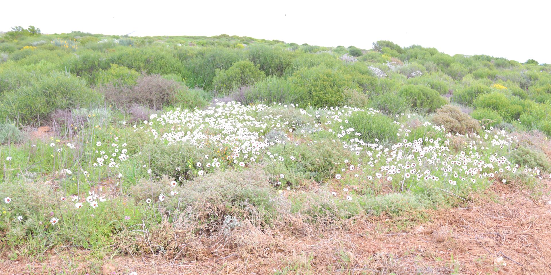Image 3 of 6