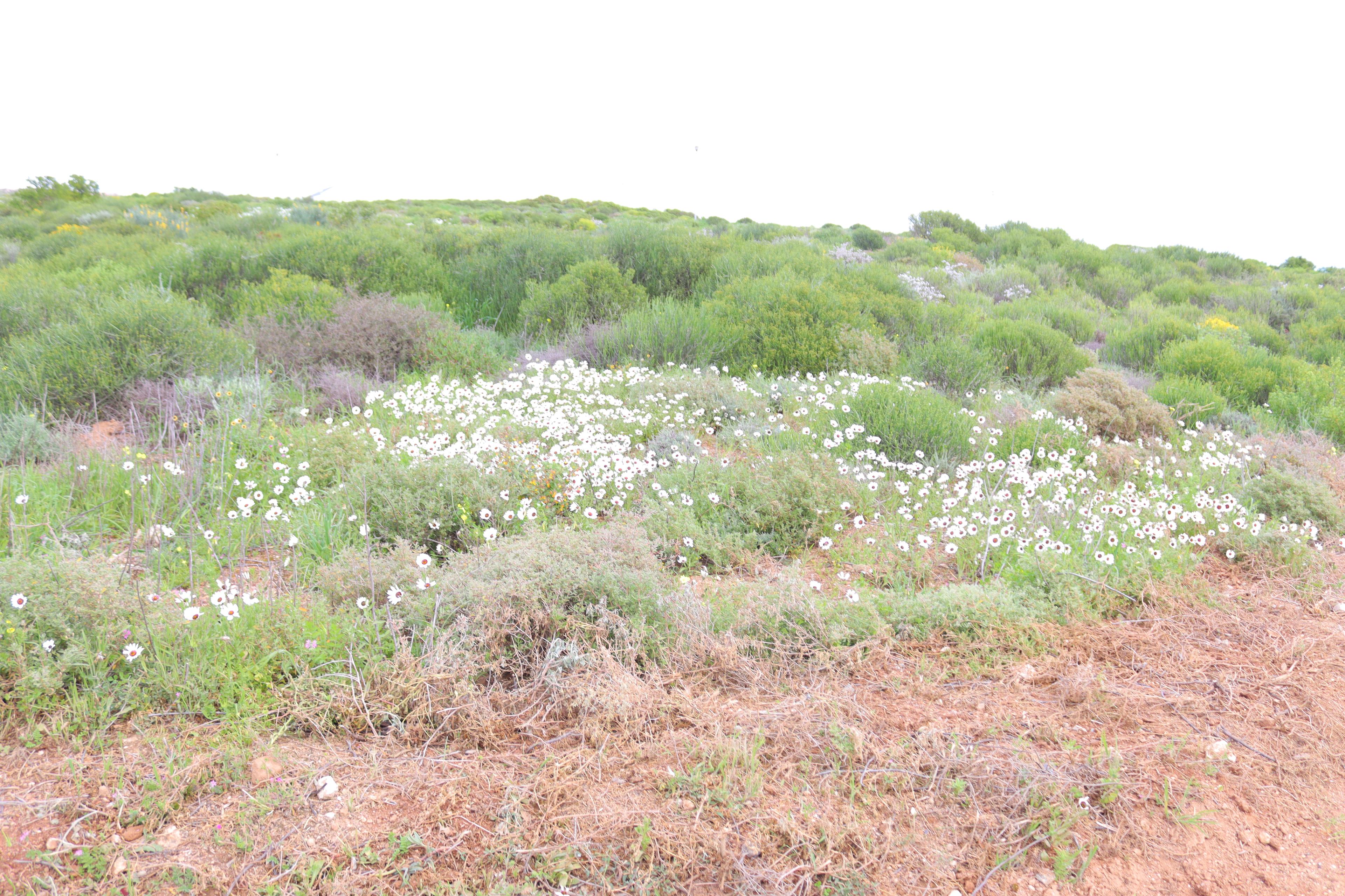 Image 3 of 6