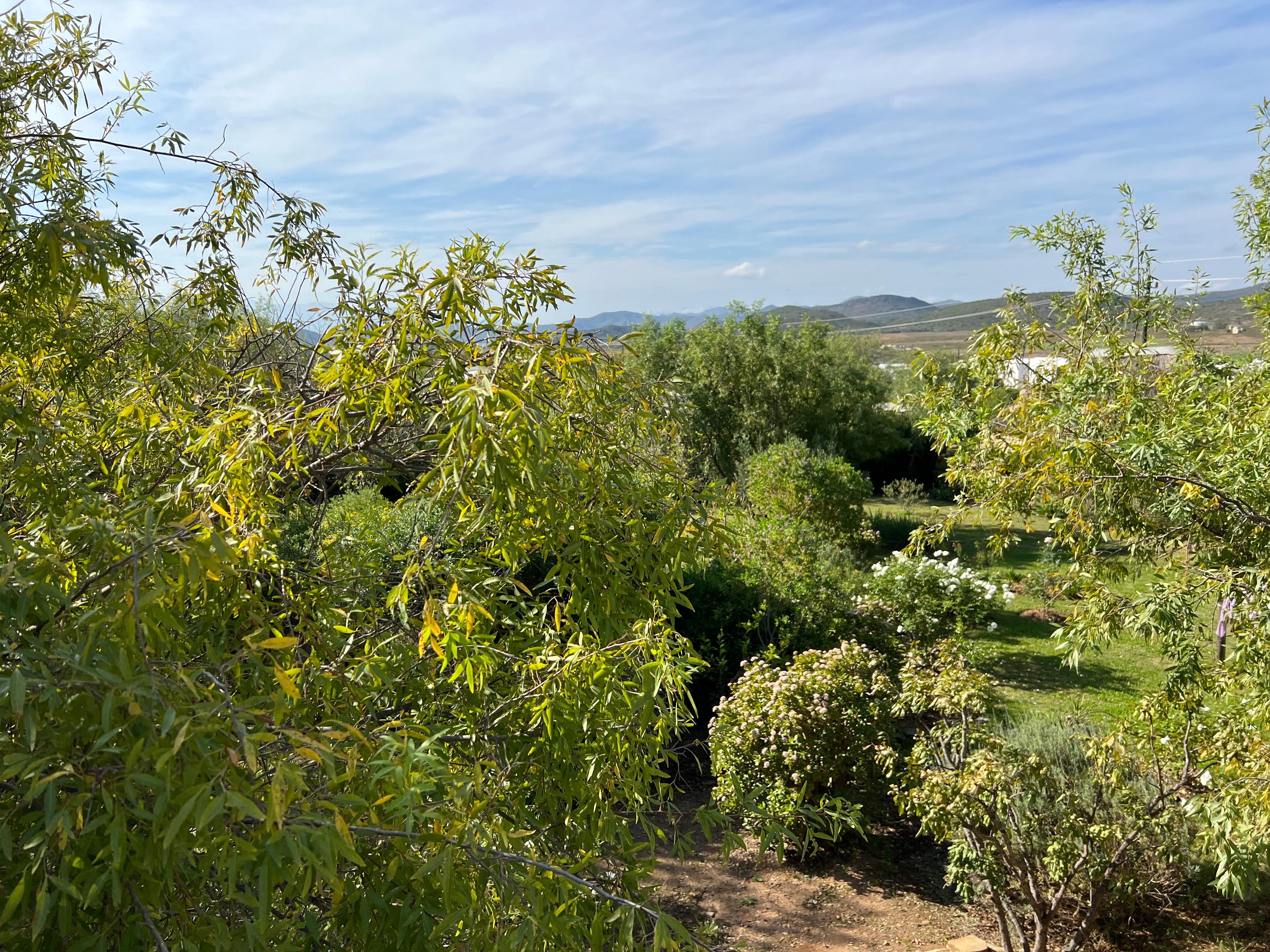 Image 37