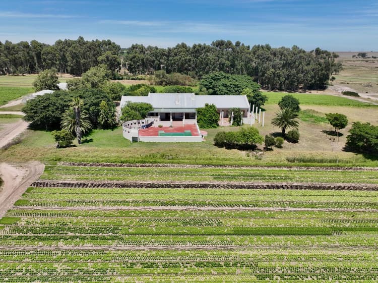 Main property image