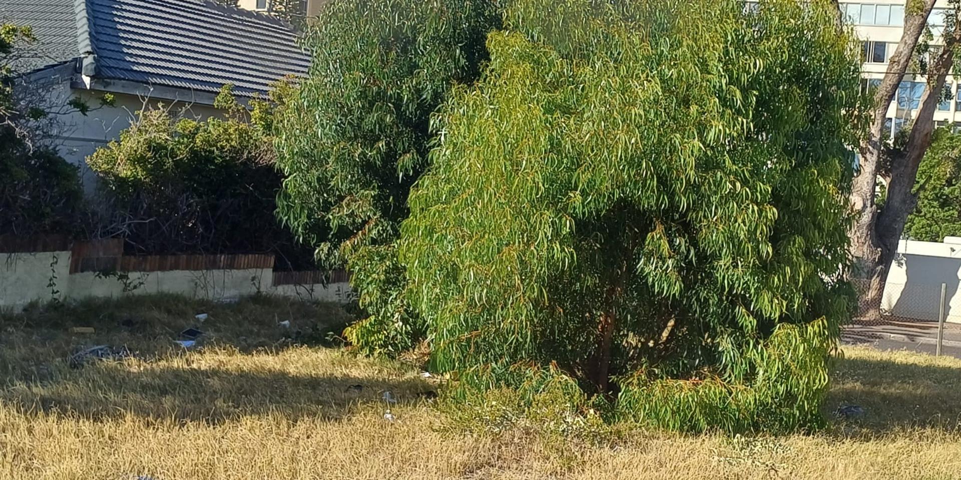Image 3 of 6
