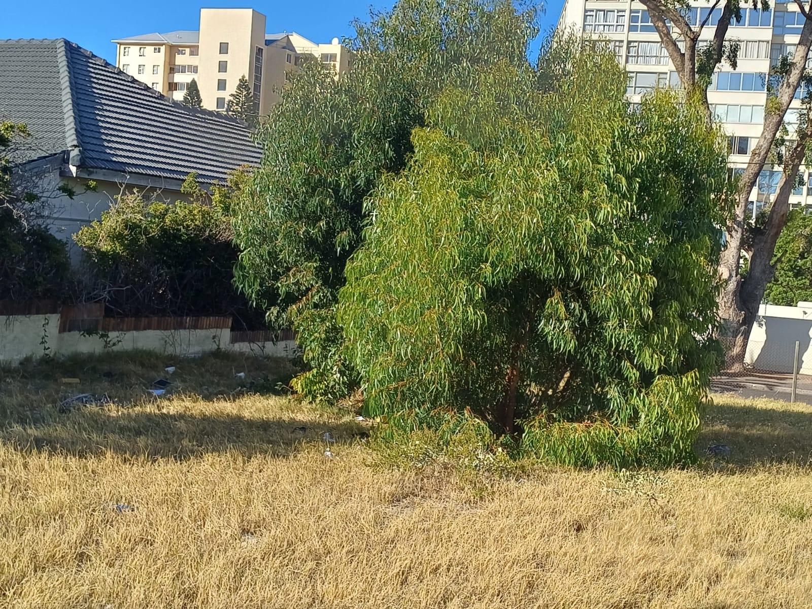 Image 3 of 6