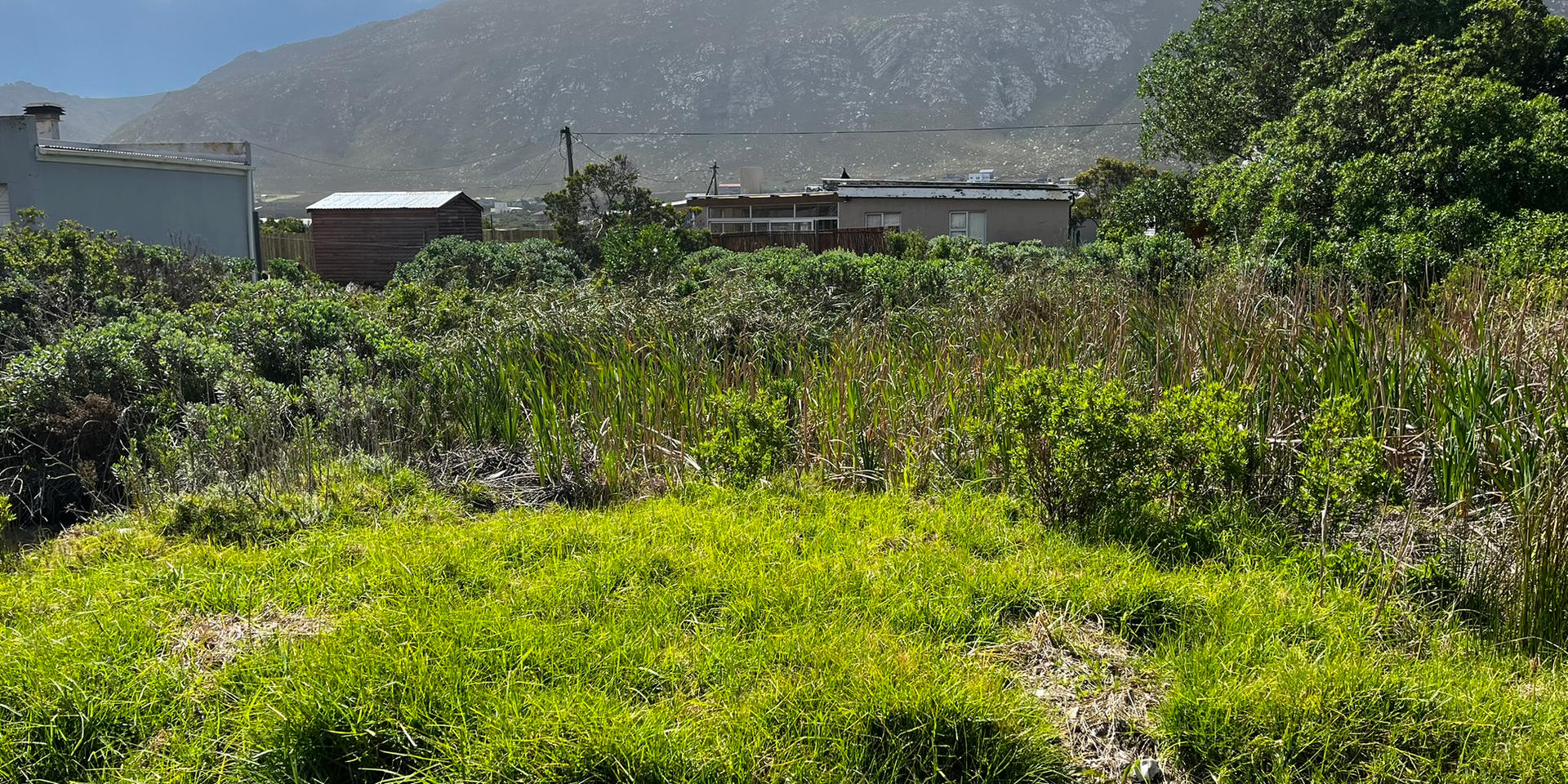 Image 5 of 6