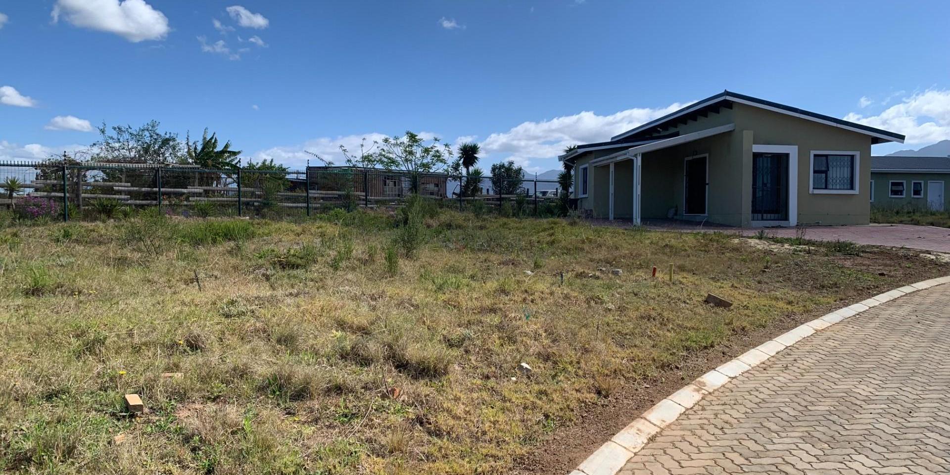 Image 4 of 6