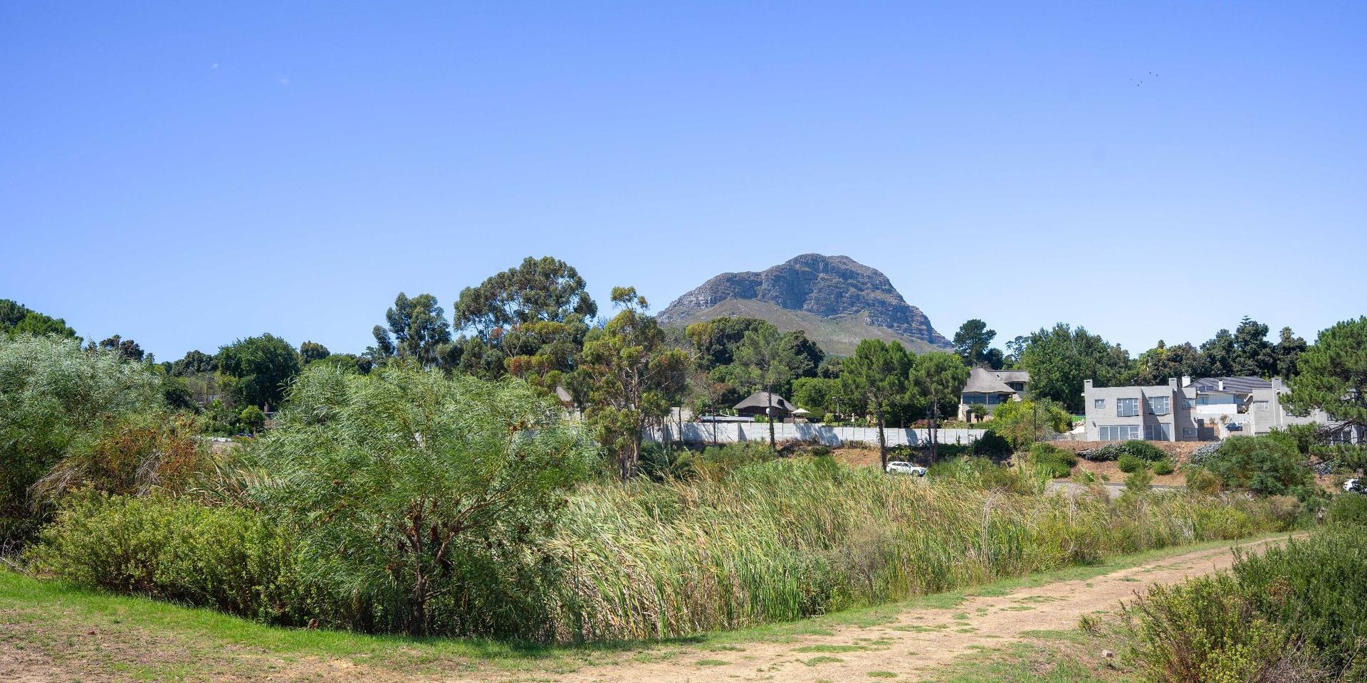 Image 5 of 6