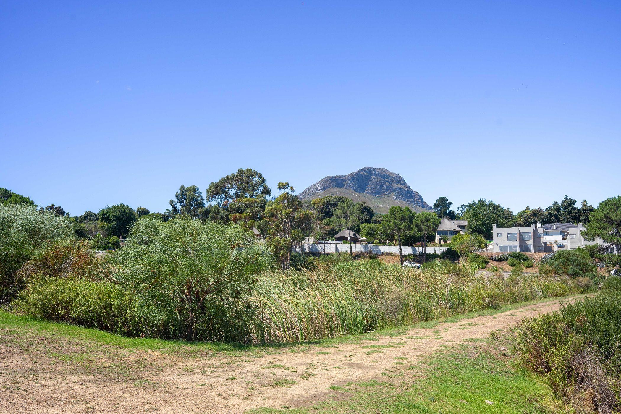 Image 5 of 6