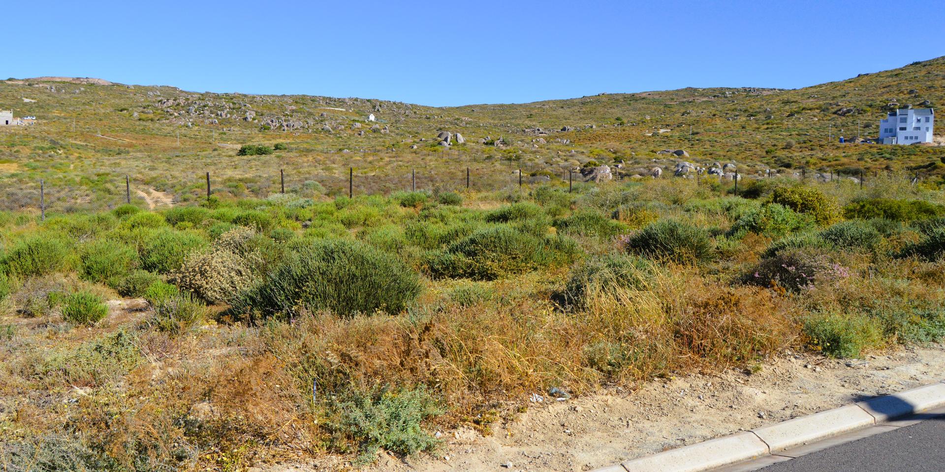 Image 4 of 6