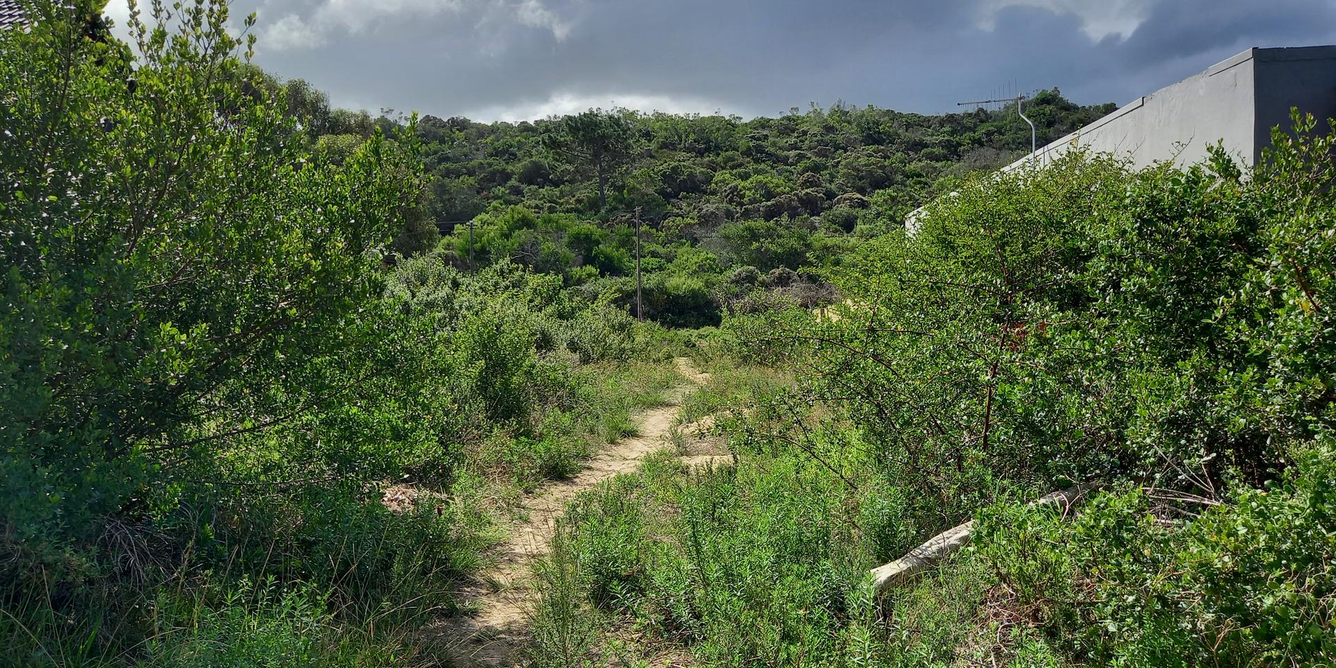 Image 4 of 6