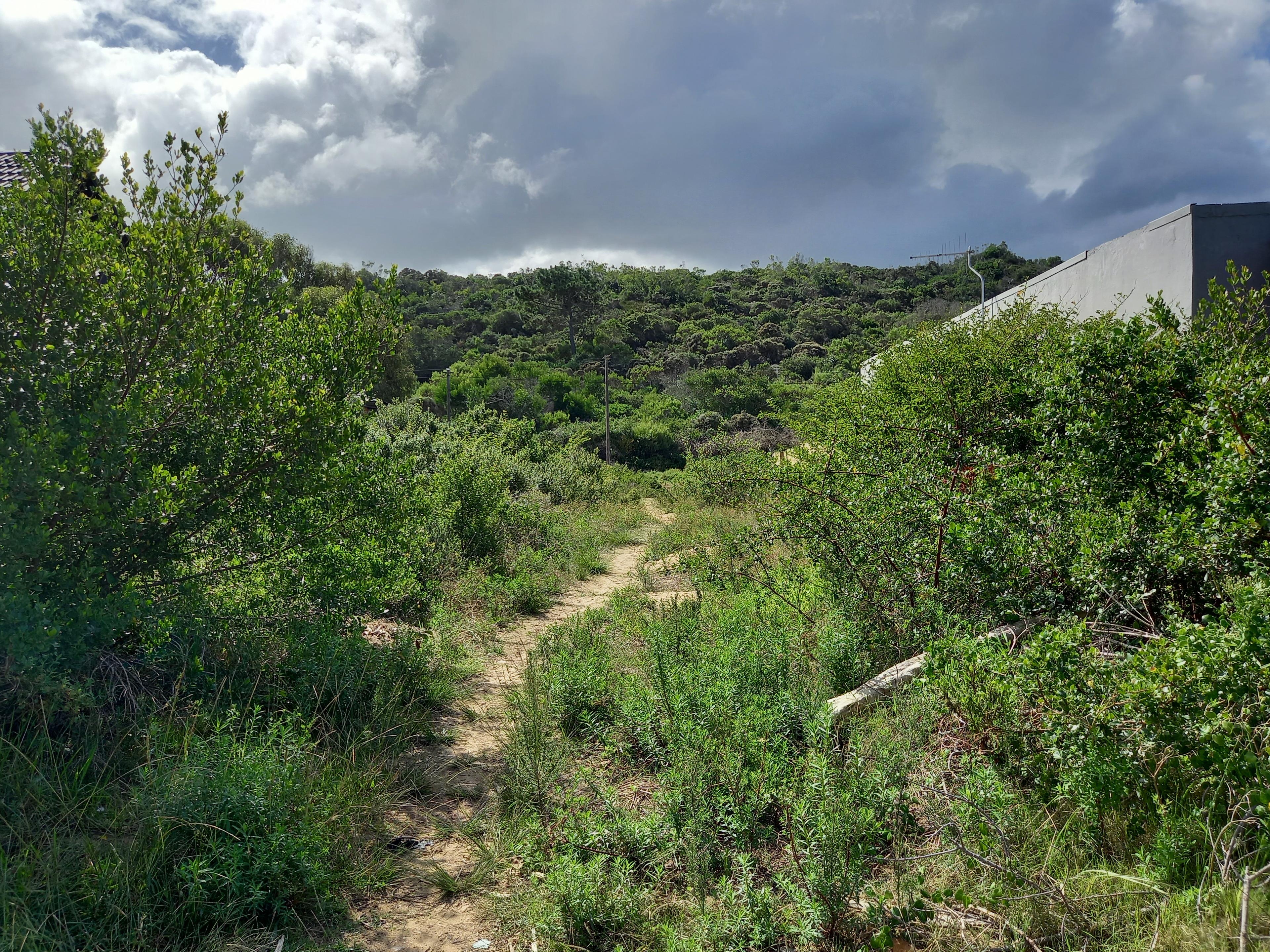 Image 4 of 6