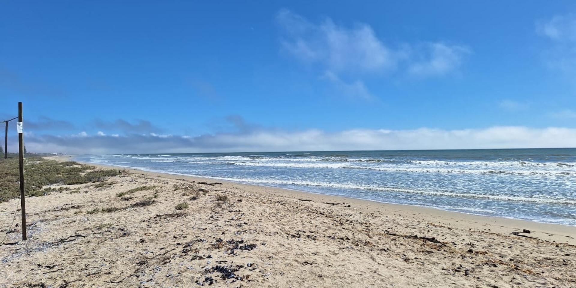 Image 4 of 6