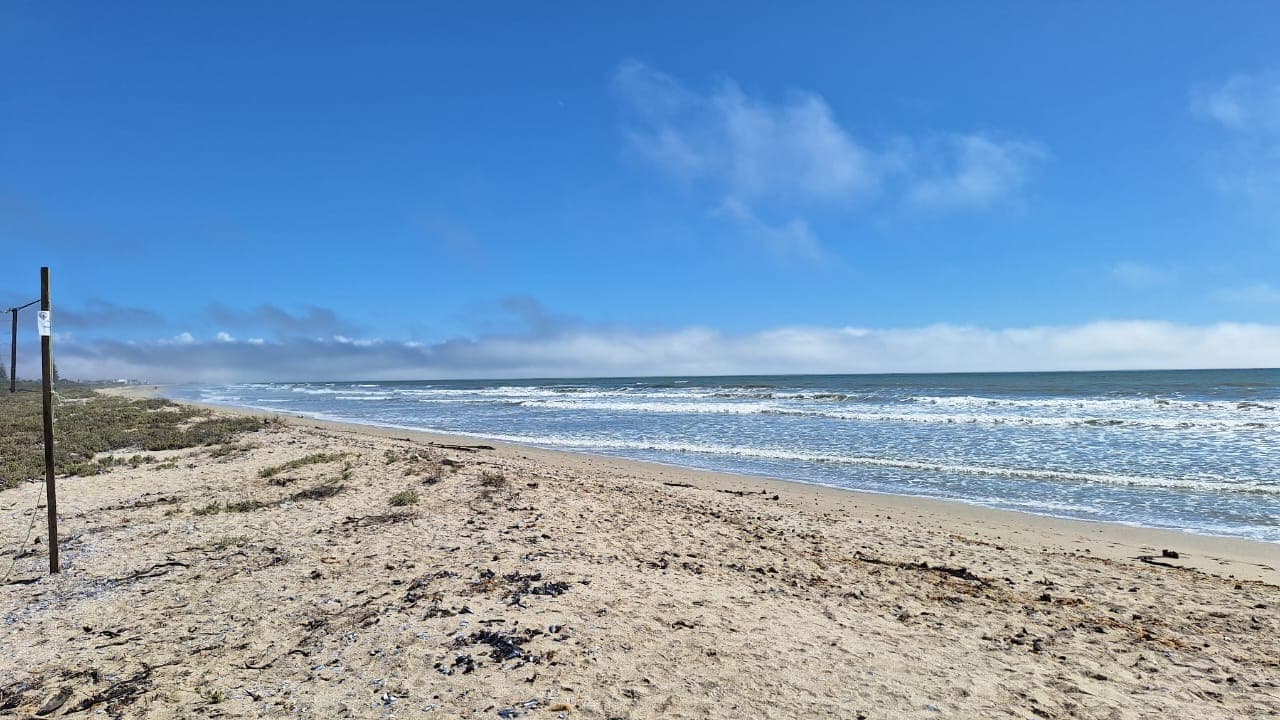 Image 4 of 6