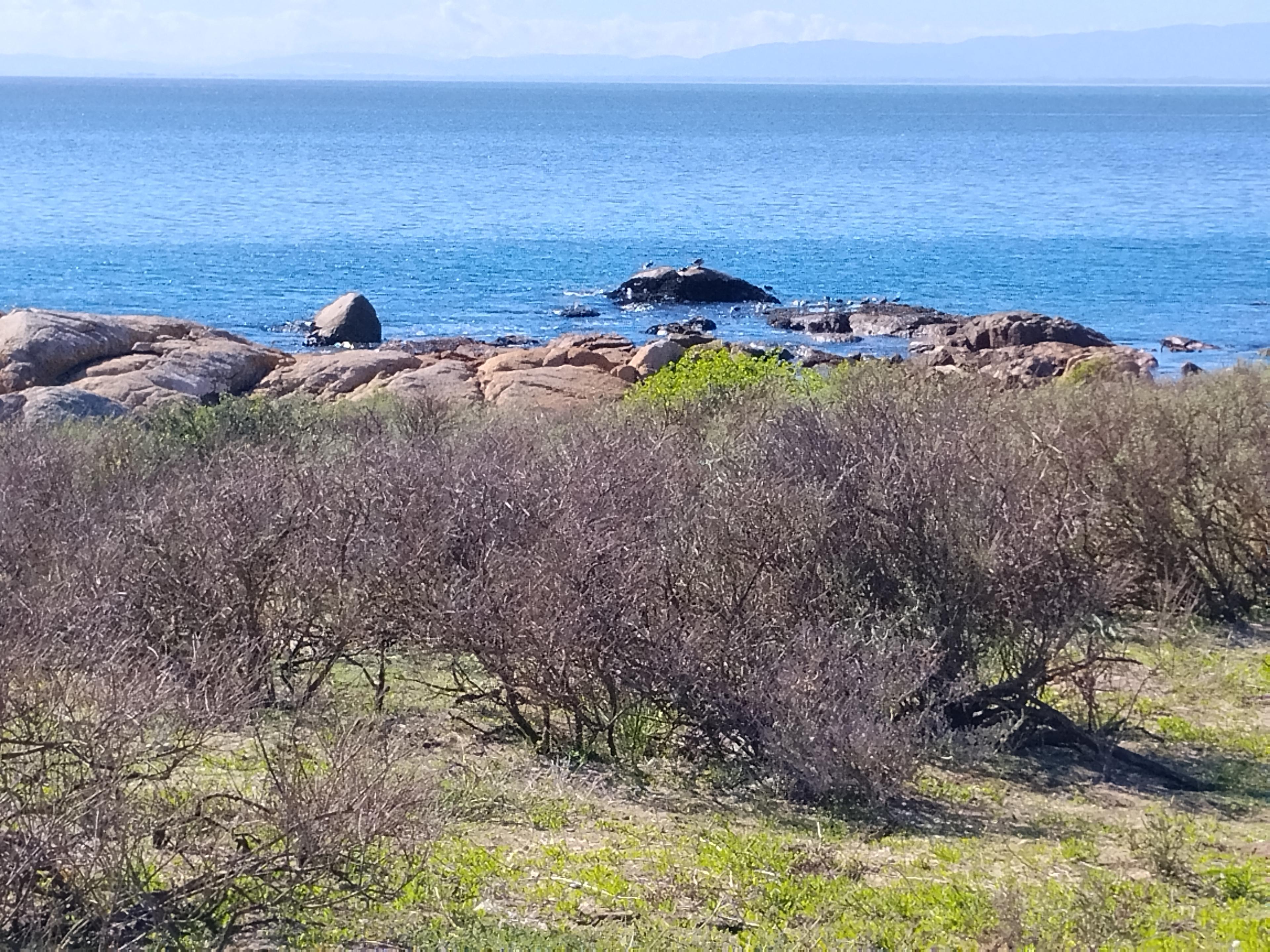 Image 5 of 6