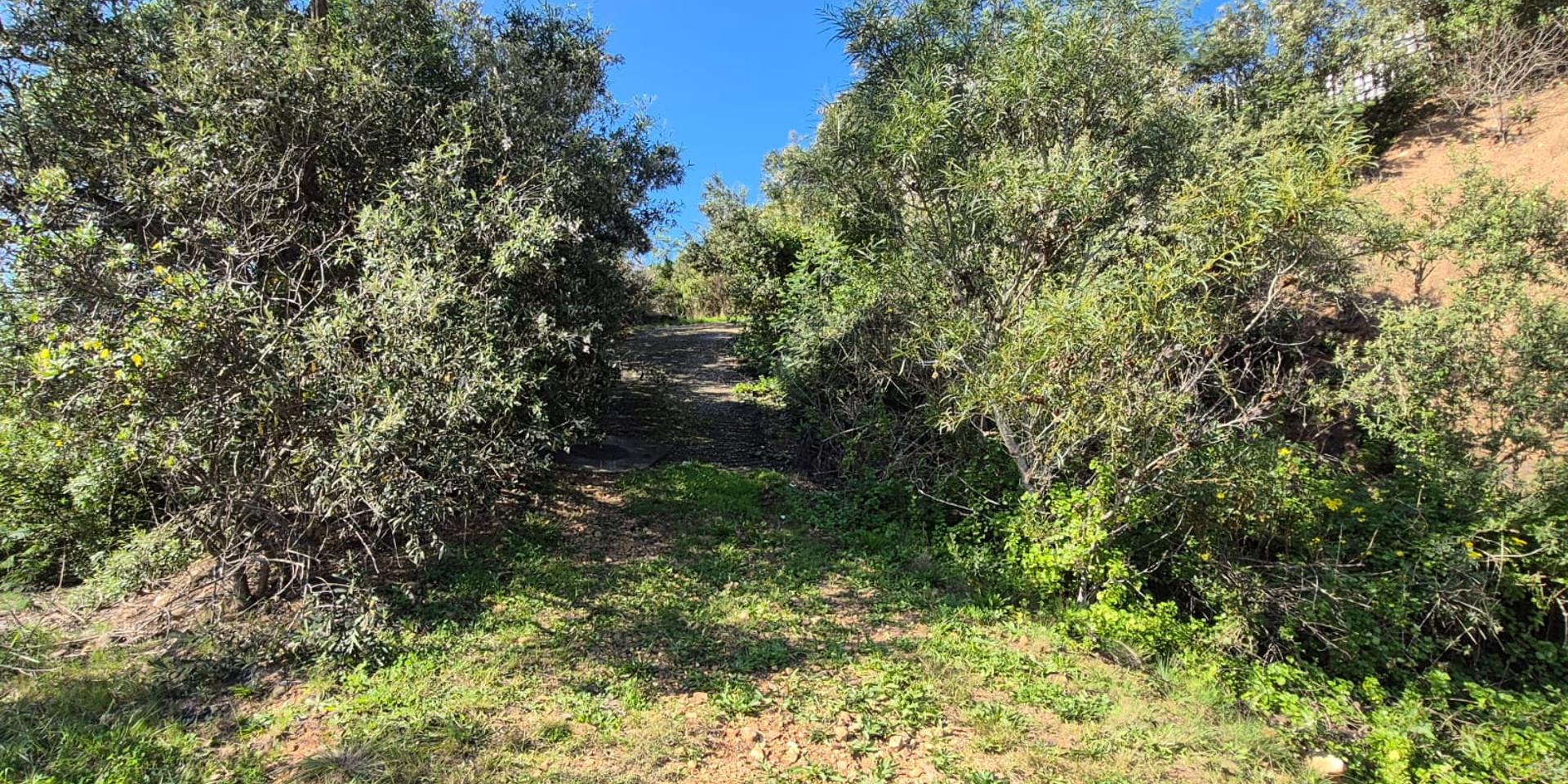 Image 2 of 6