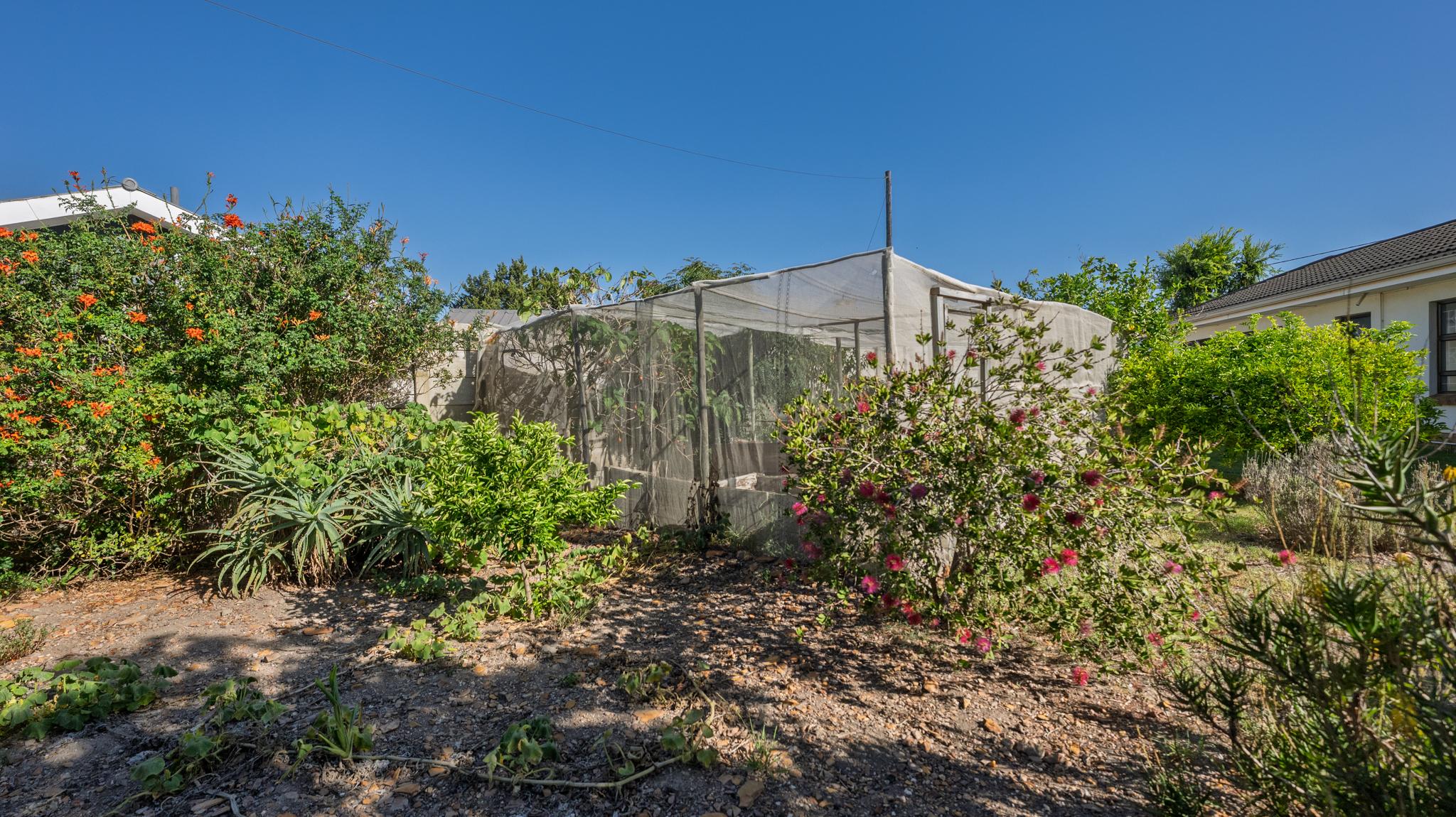 Image 45