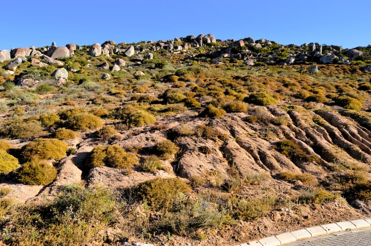 Main property image