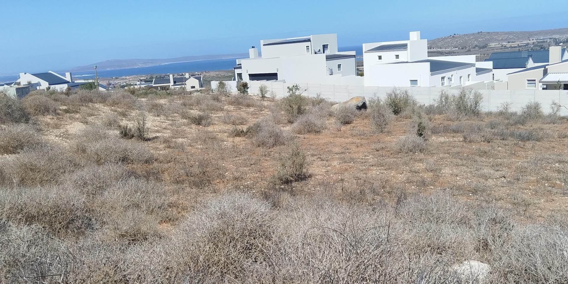 Image 4 of 6