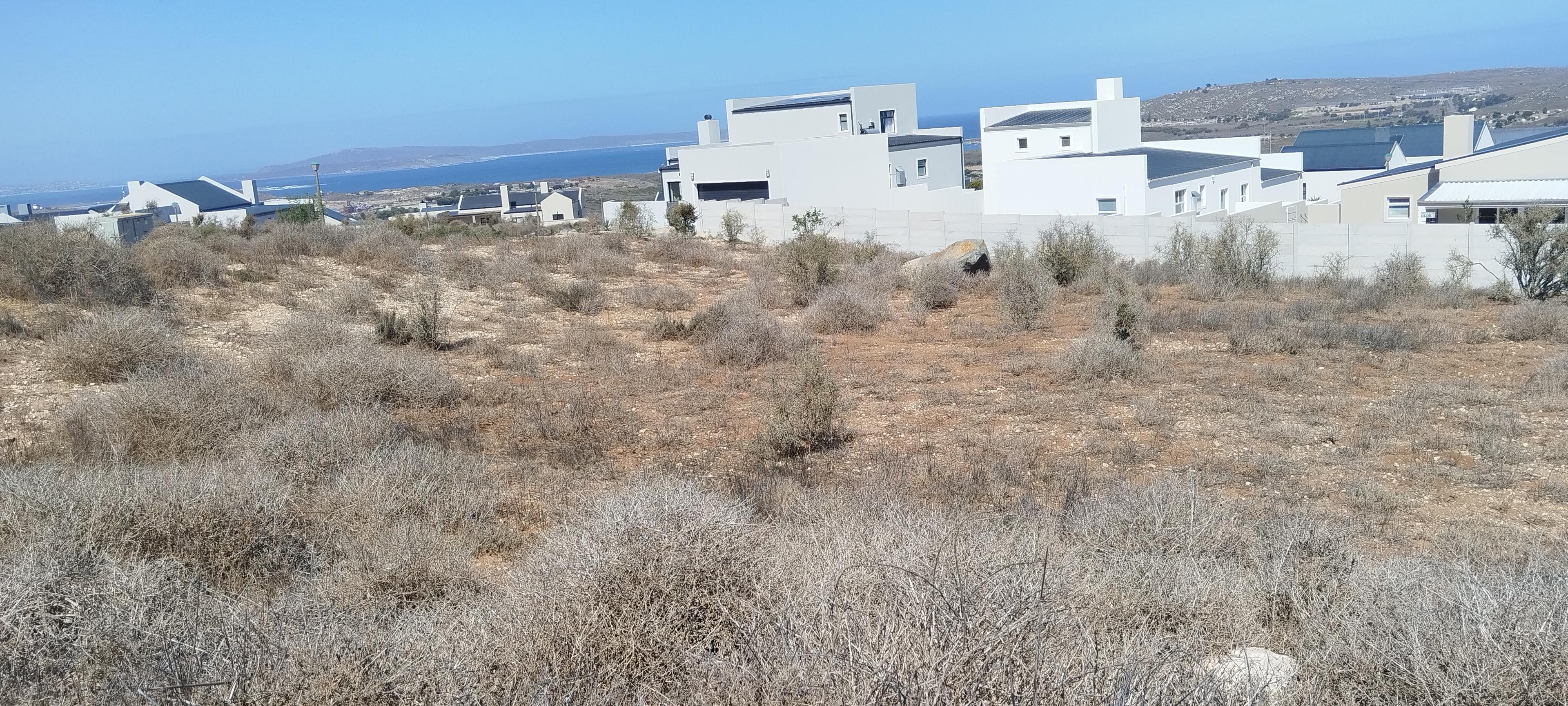 Image 4 of 6