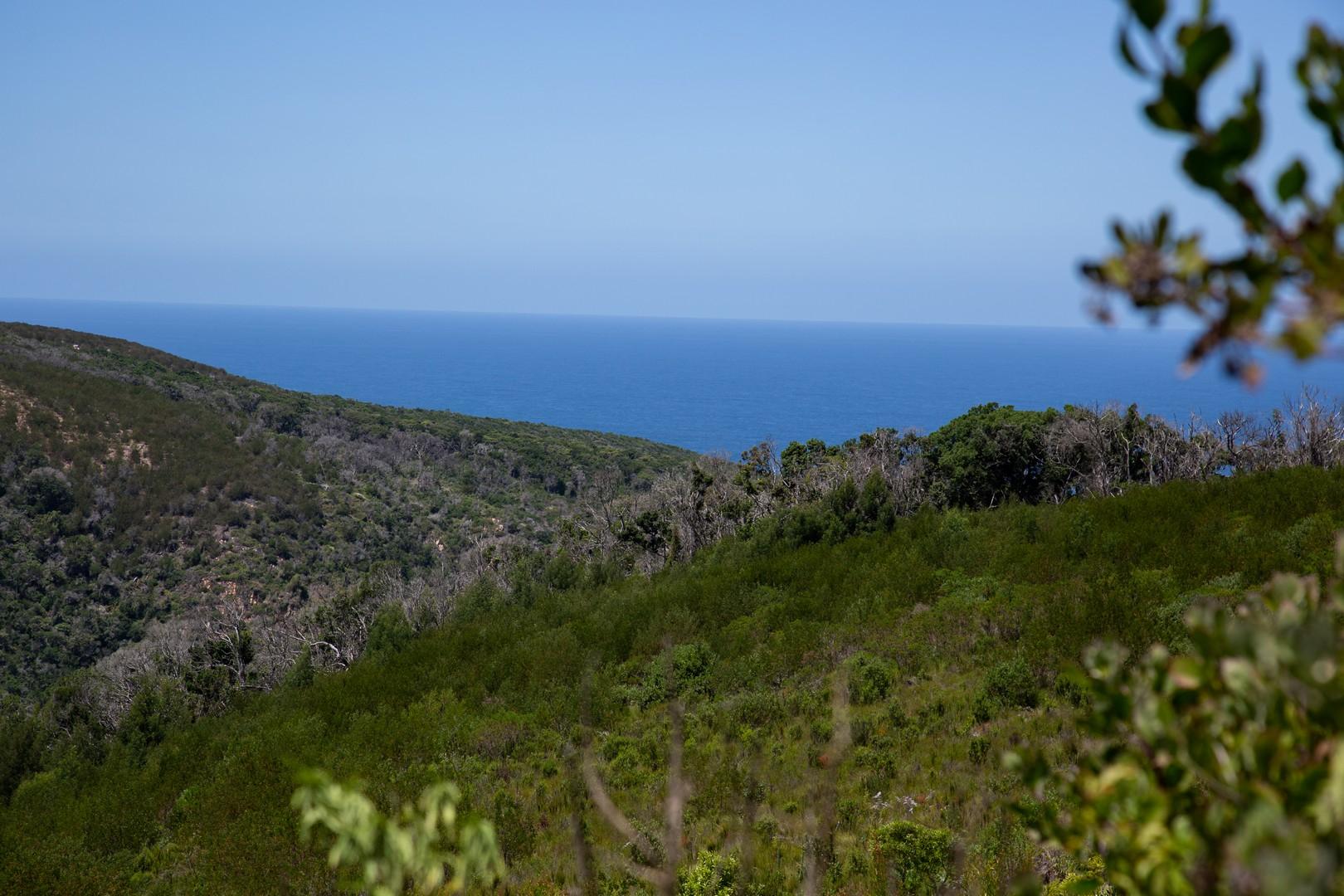 Image 14