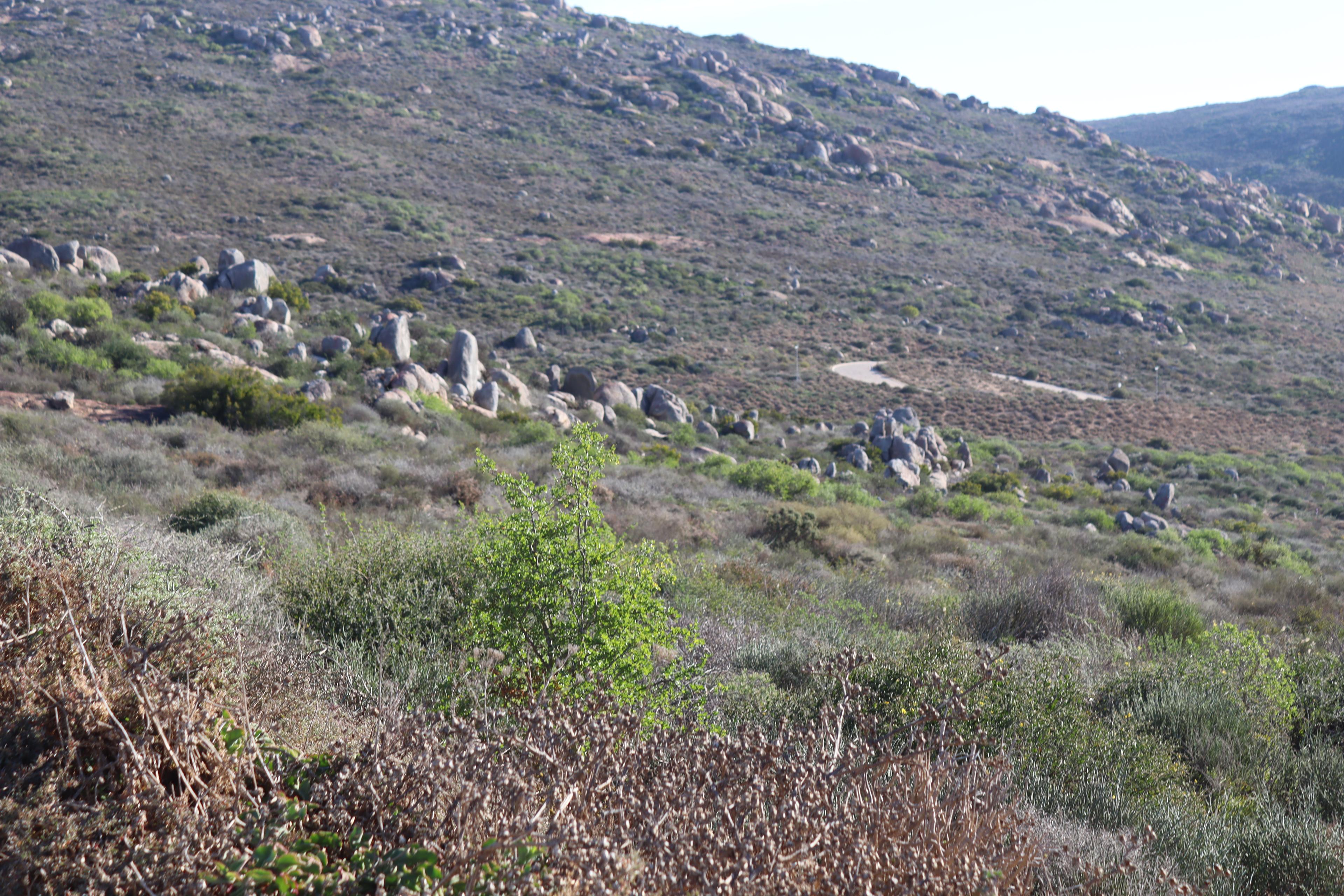 Image 12