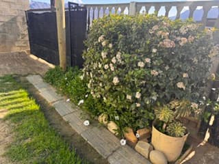 Image 3 of 6