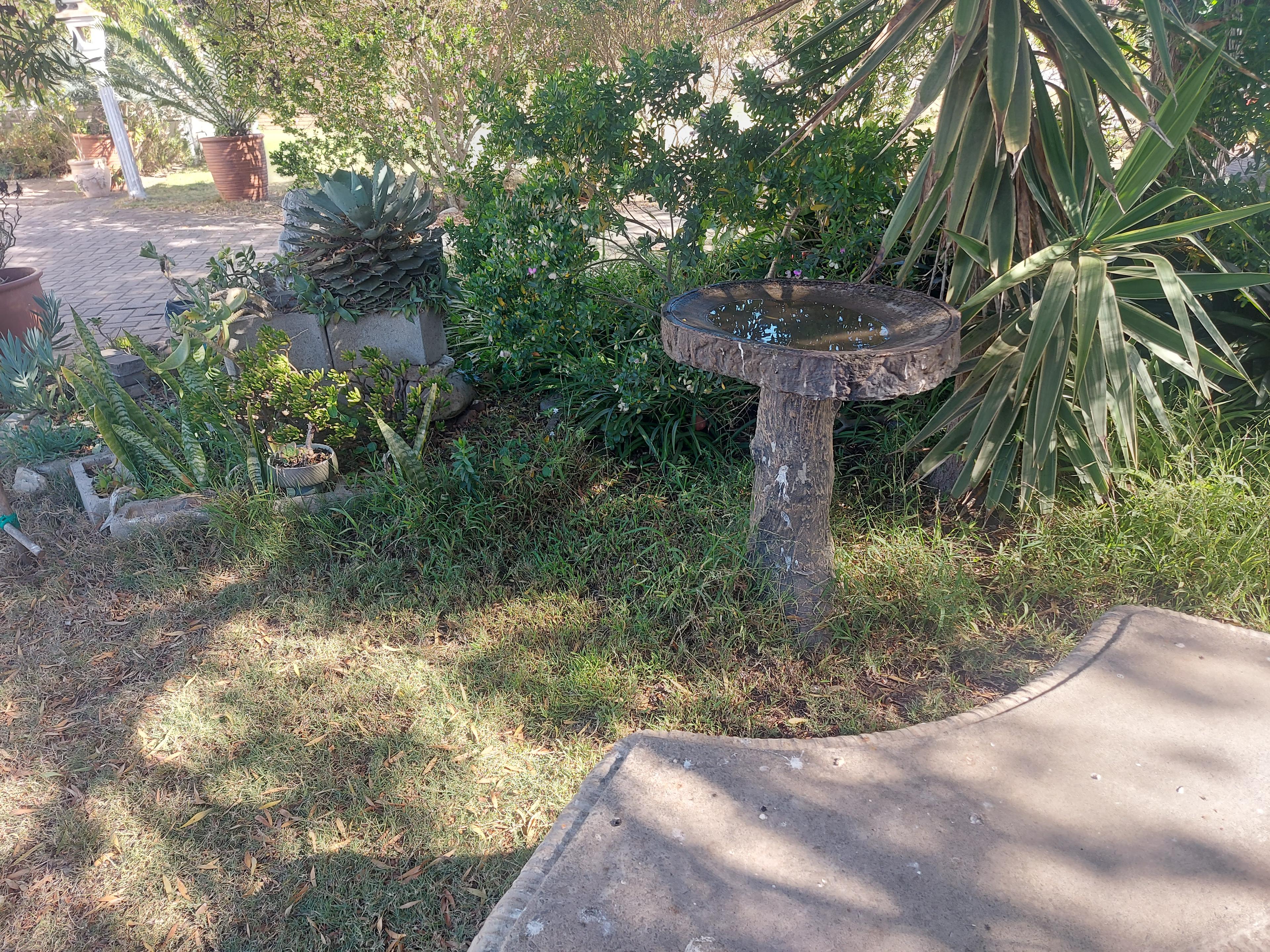Image 35