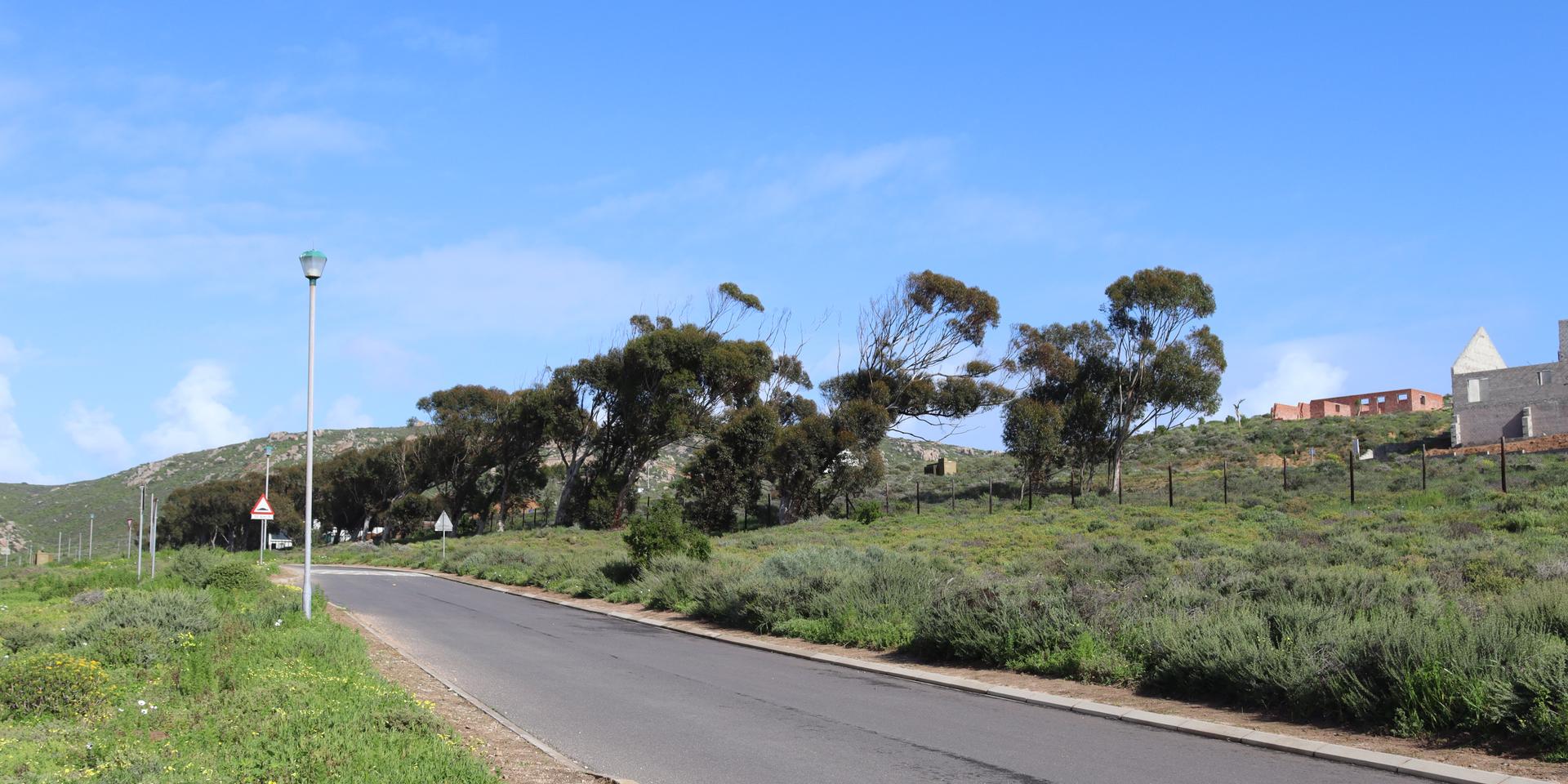 Image 5 of 6