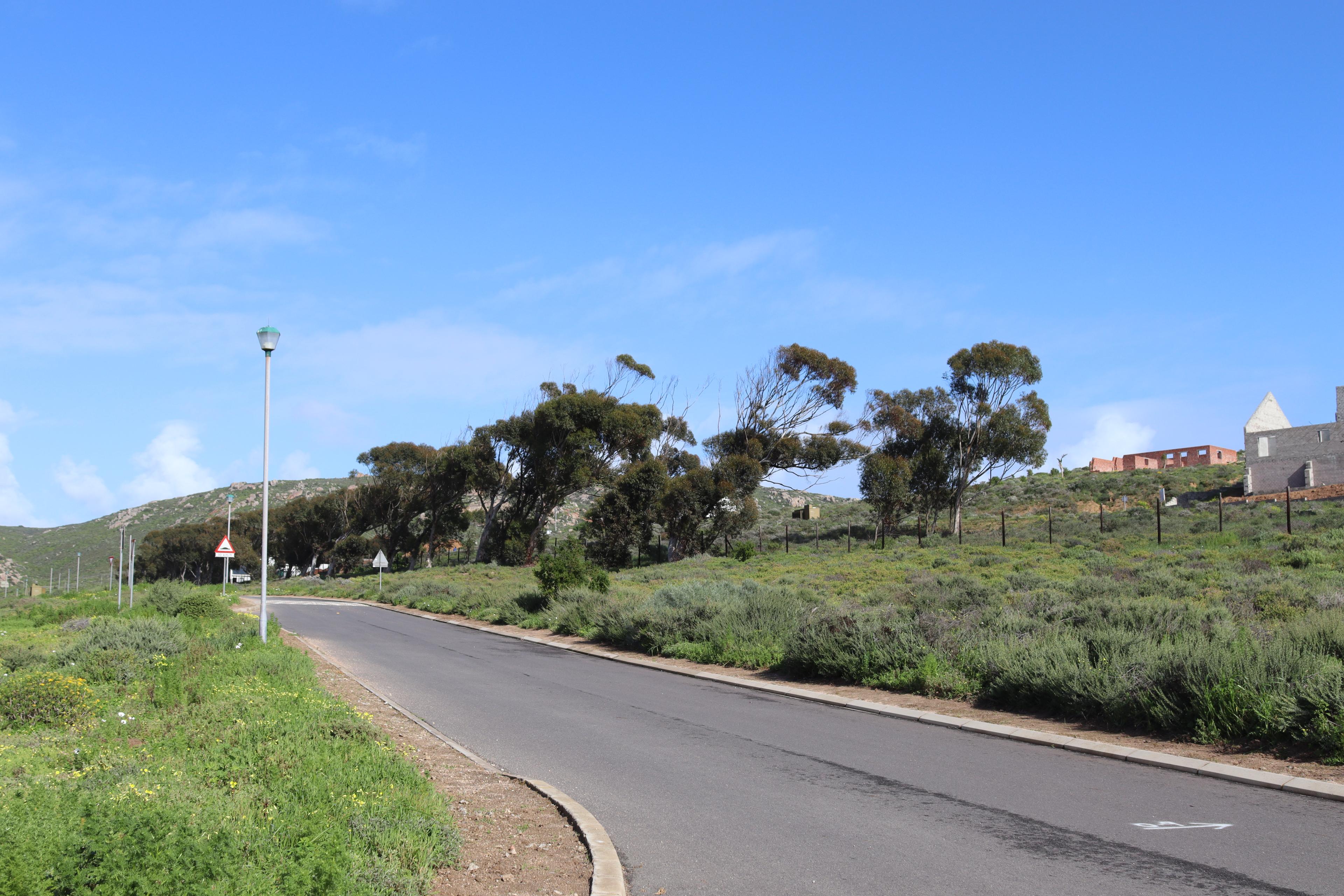 Image 5 of 6