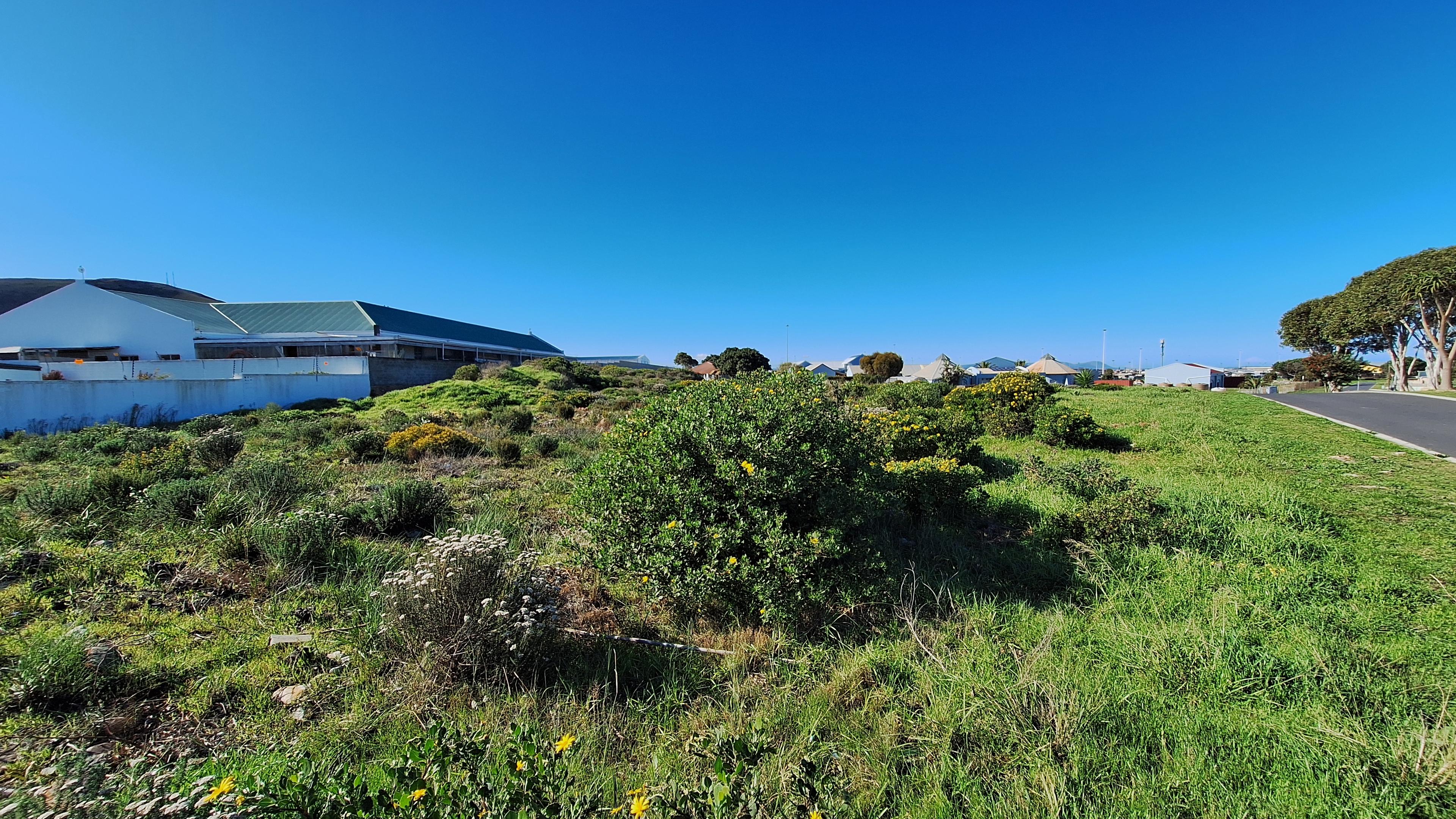 Image 4 of 6