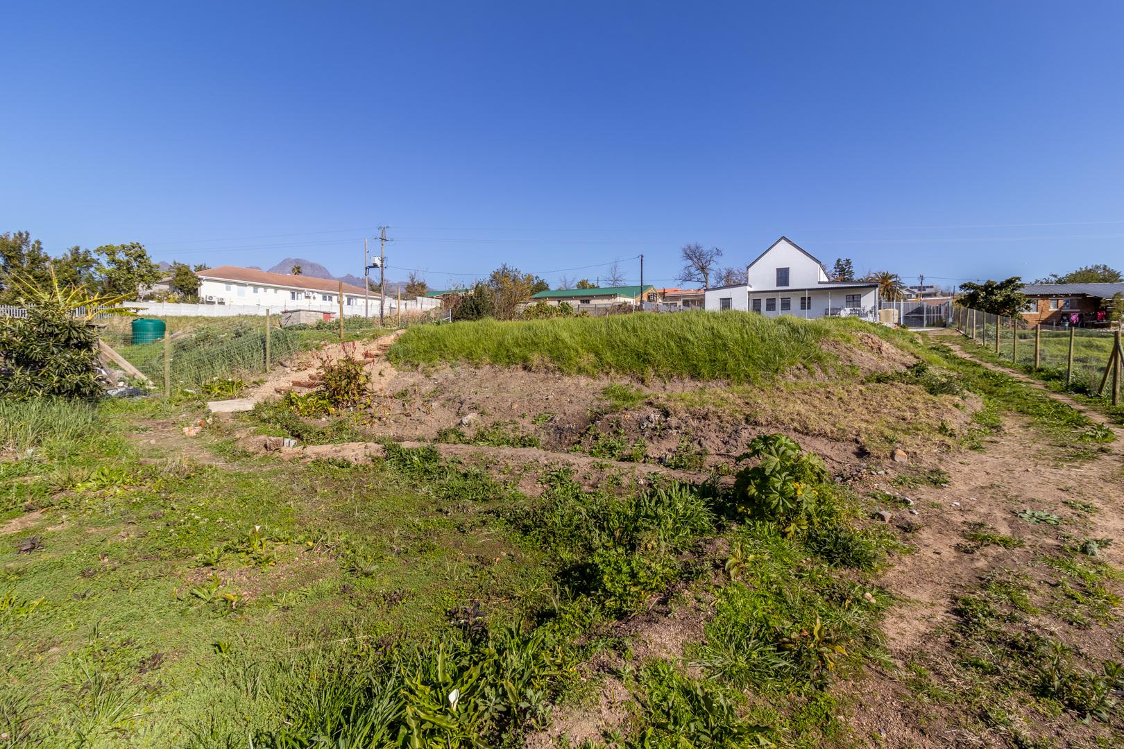 Image 29